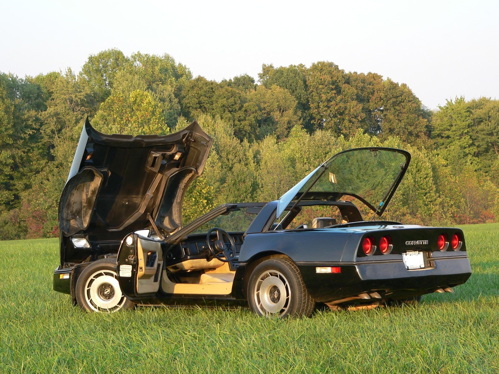 1984, corvette