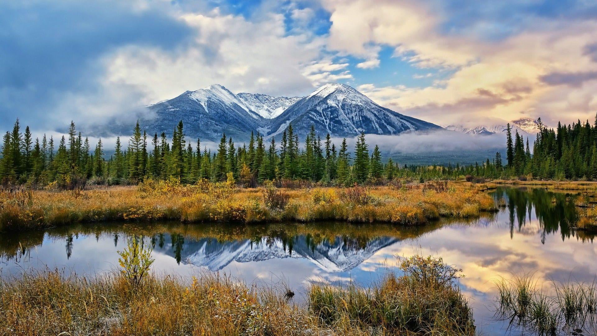 mountains, reflection, mirror, pine tree, lake, misty, clouds