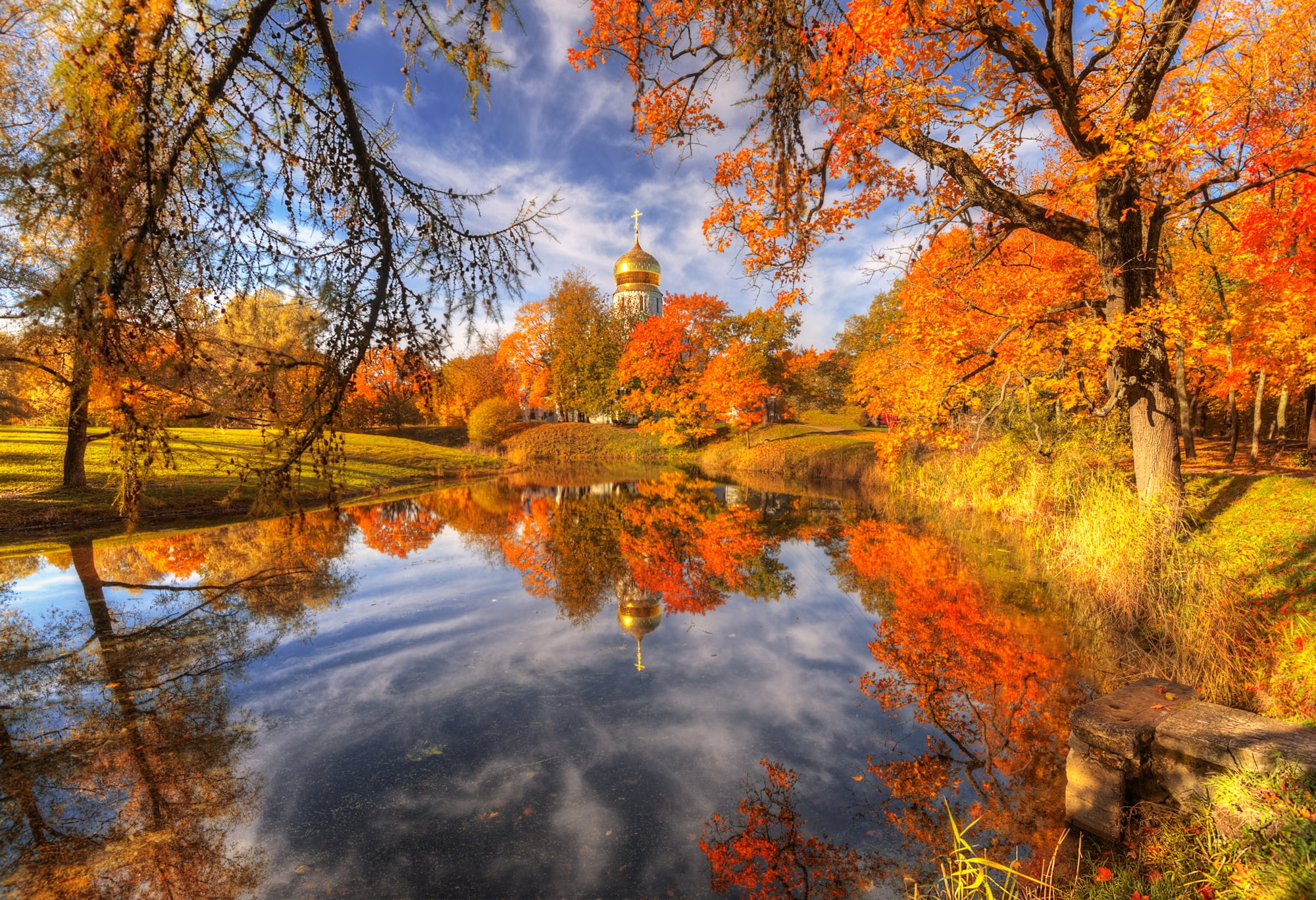 autumn, landscape, branches, nature, the city, pond, Park, reflection