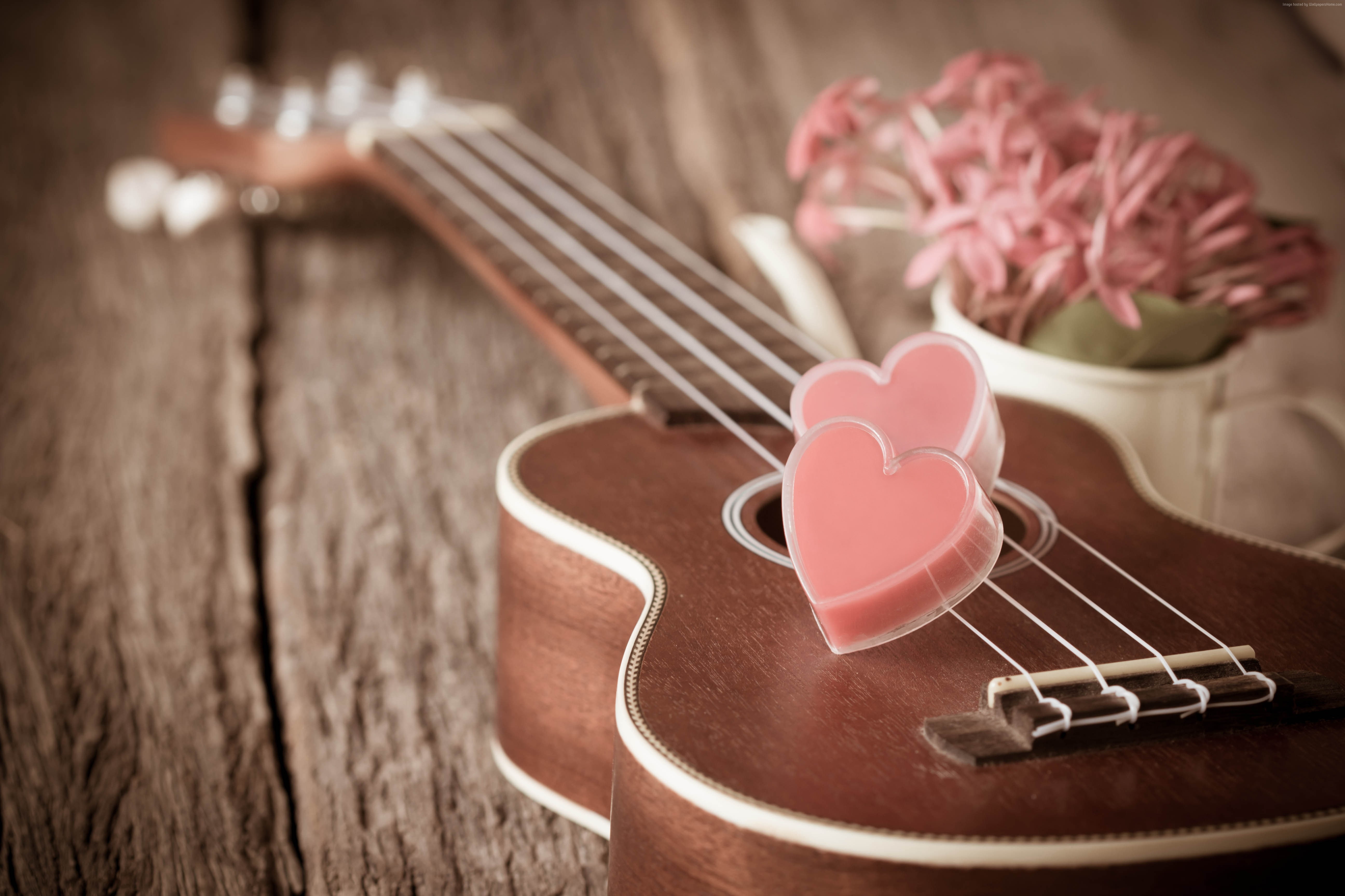 romantic, flowers, heart, love, Valentines Day, guitar