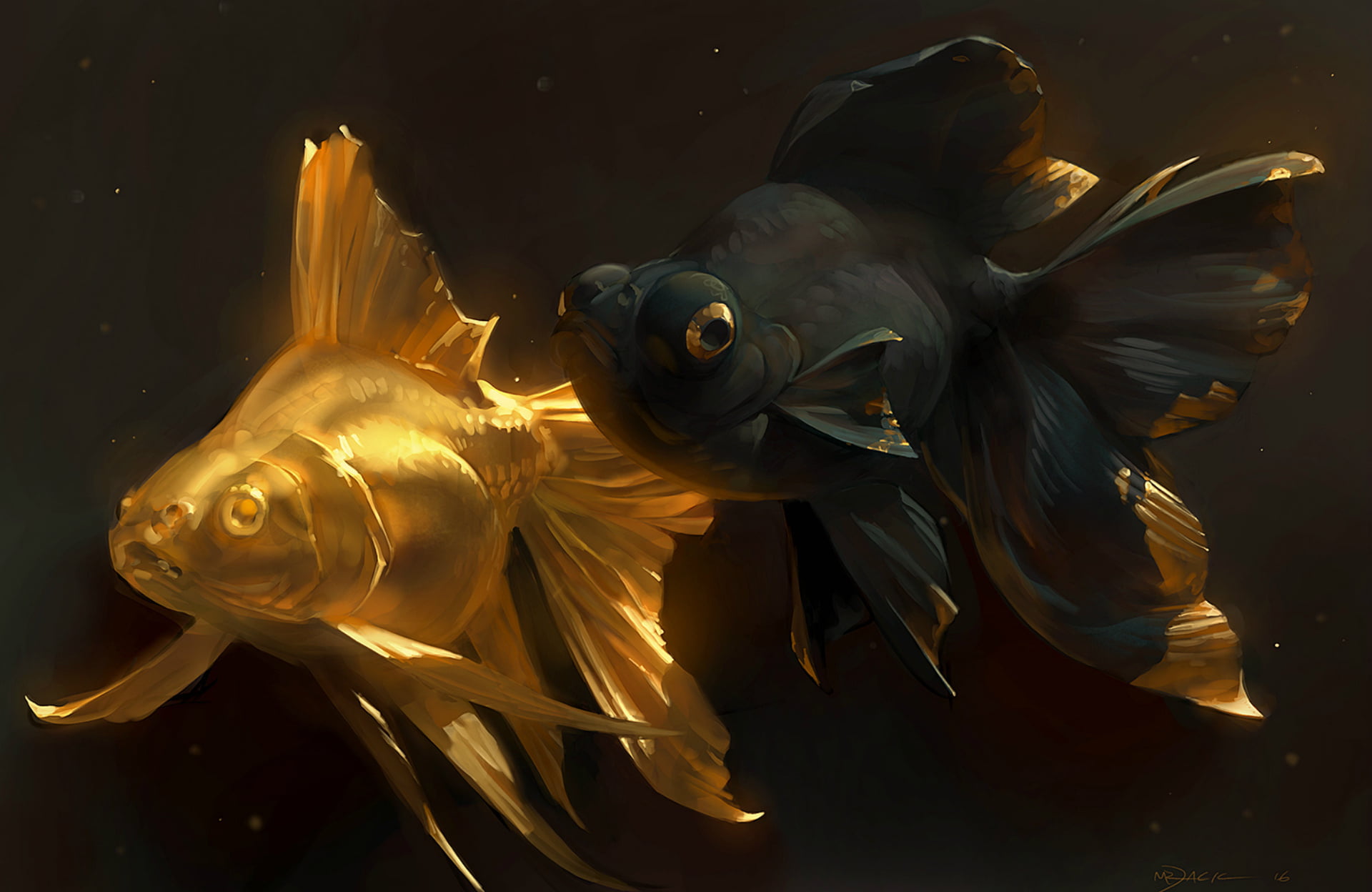 two black and gold fish wallpaper, art, goldfish, a couple, golden fish