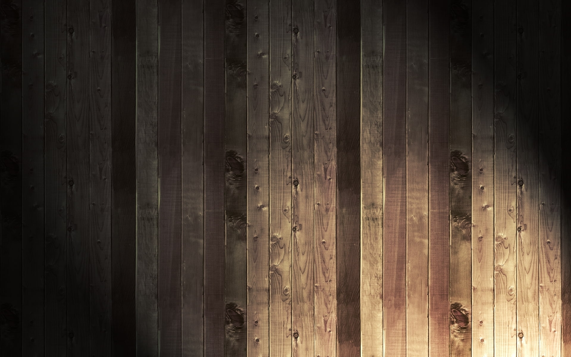 background, tree, texture