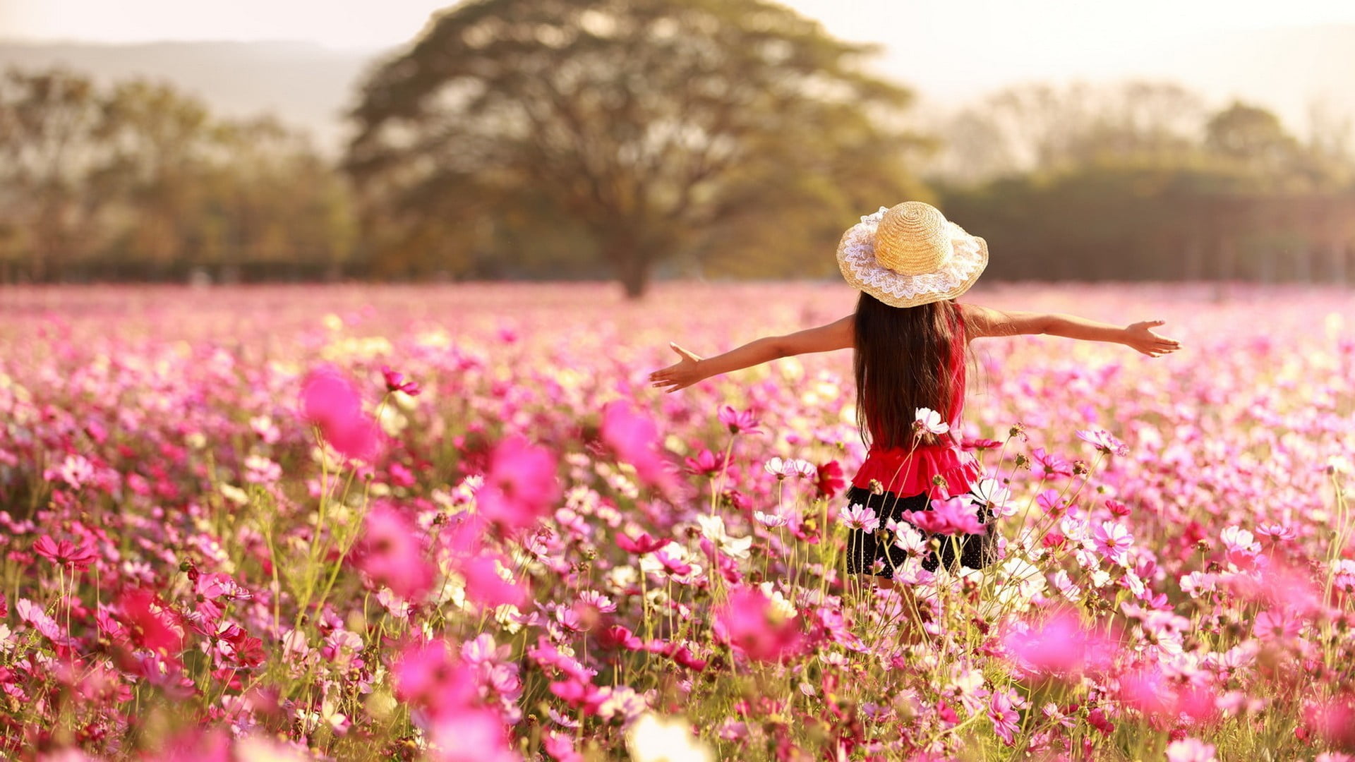 landscape, women, women outdoors, flowers, field, hat, Cosmos (flower)