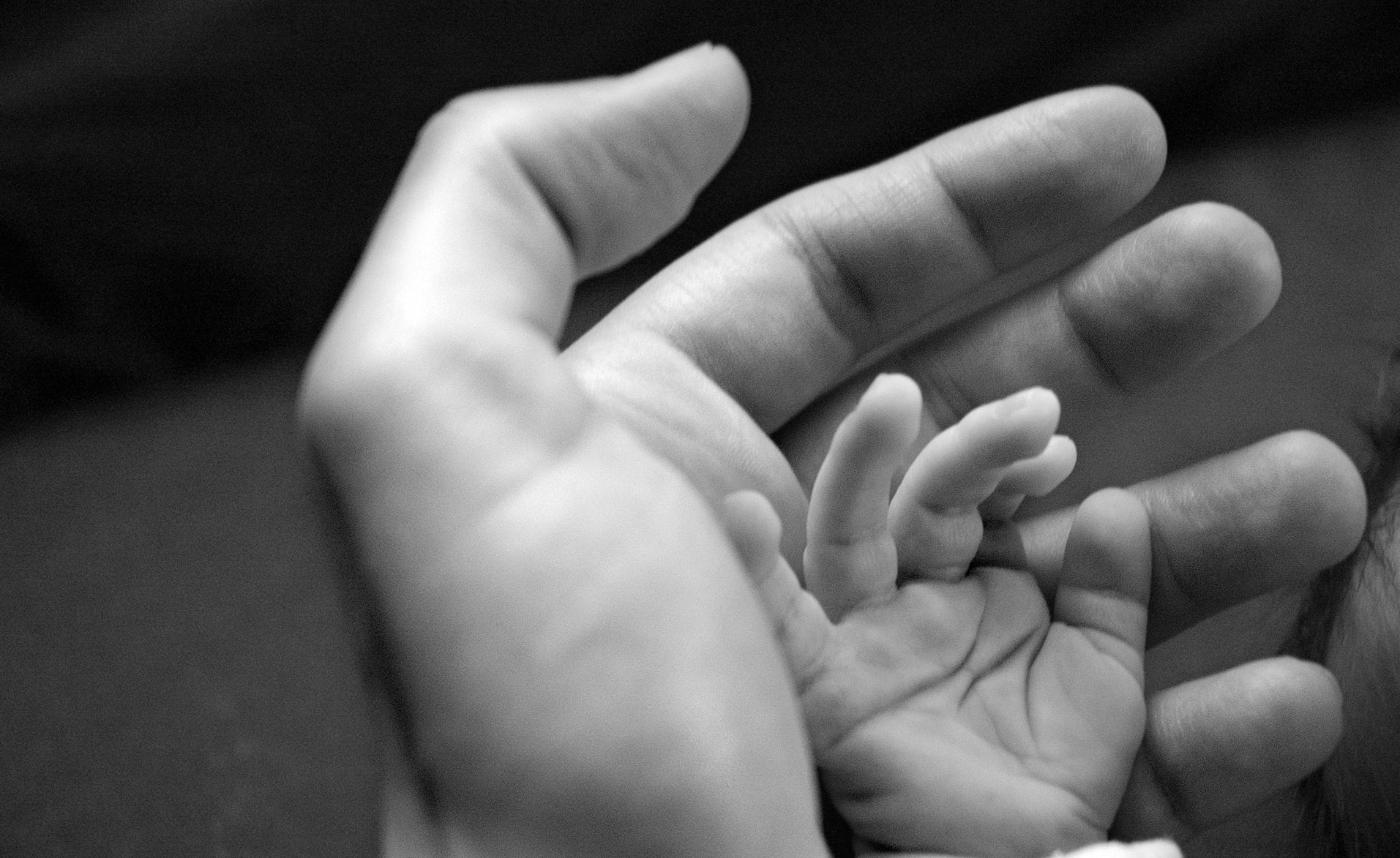 adult and baby's hands, child, affection, care, human Hand, black And White