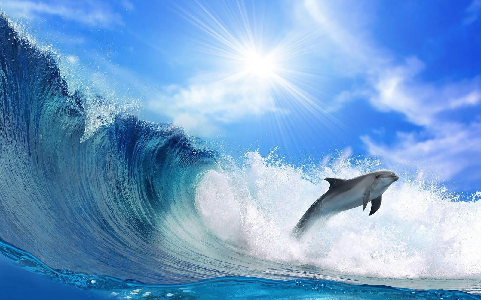 Animal, Dolphin, Fish, Sea, Seawater, Ocean, Blue Sky, Waves