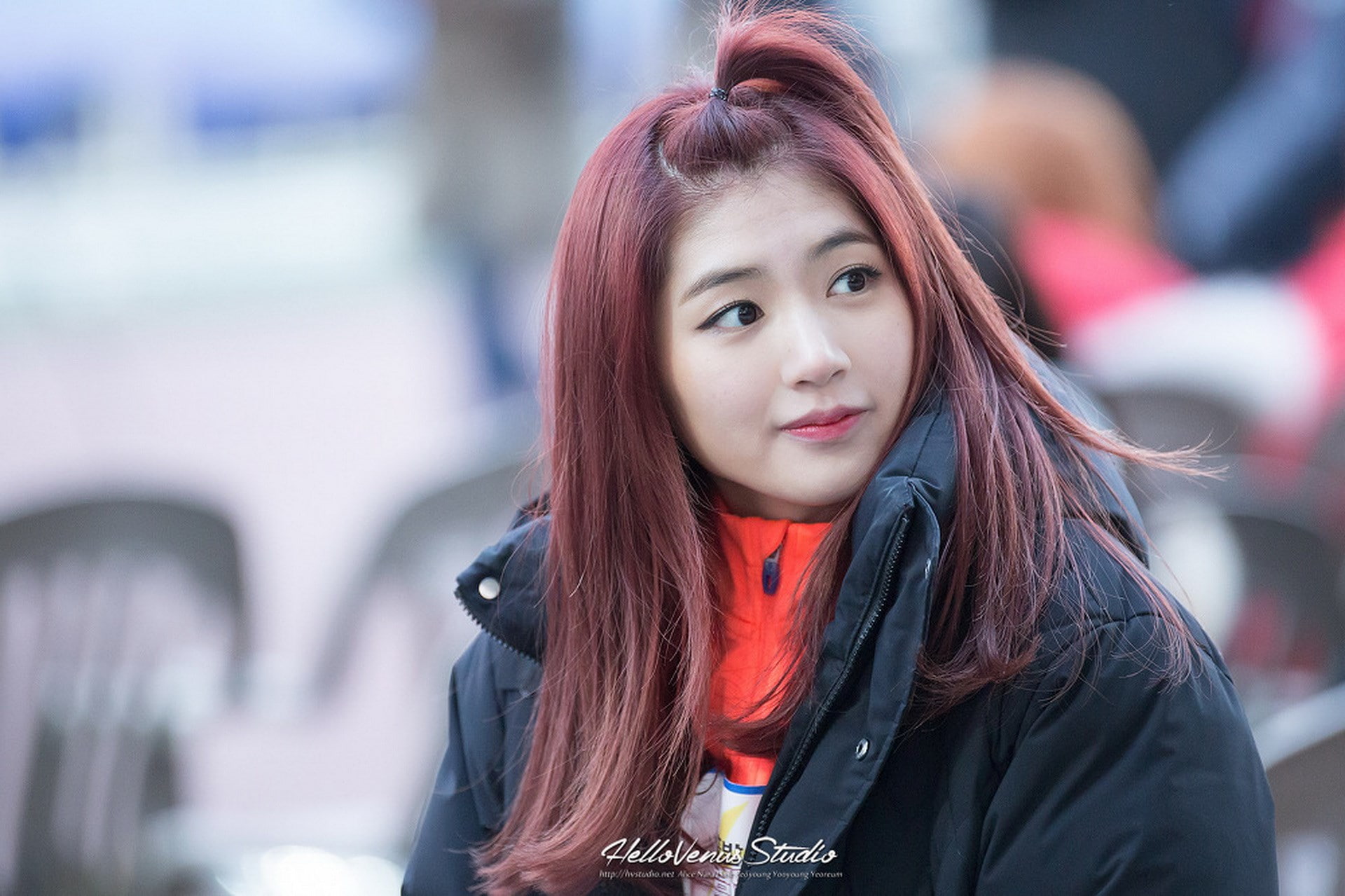 hello venus