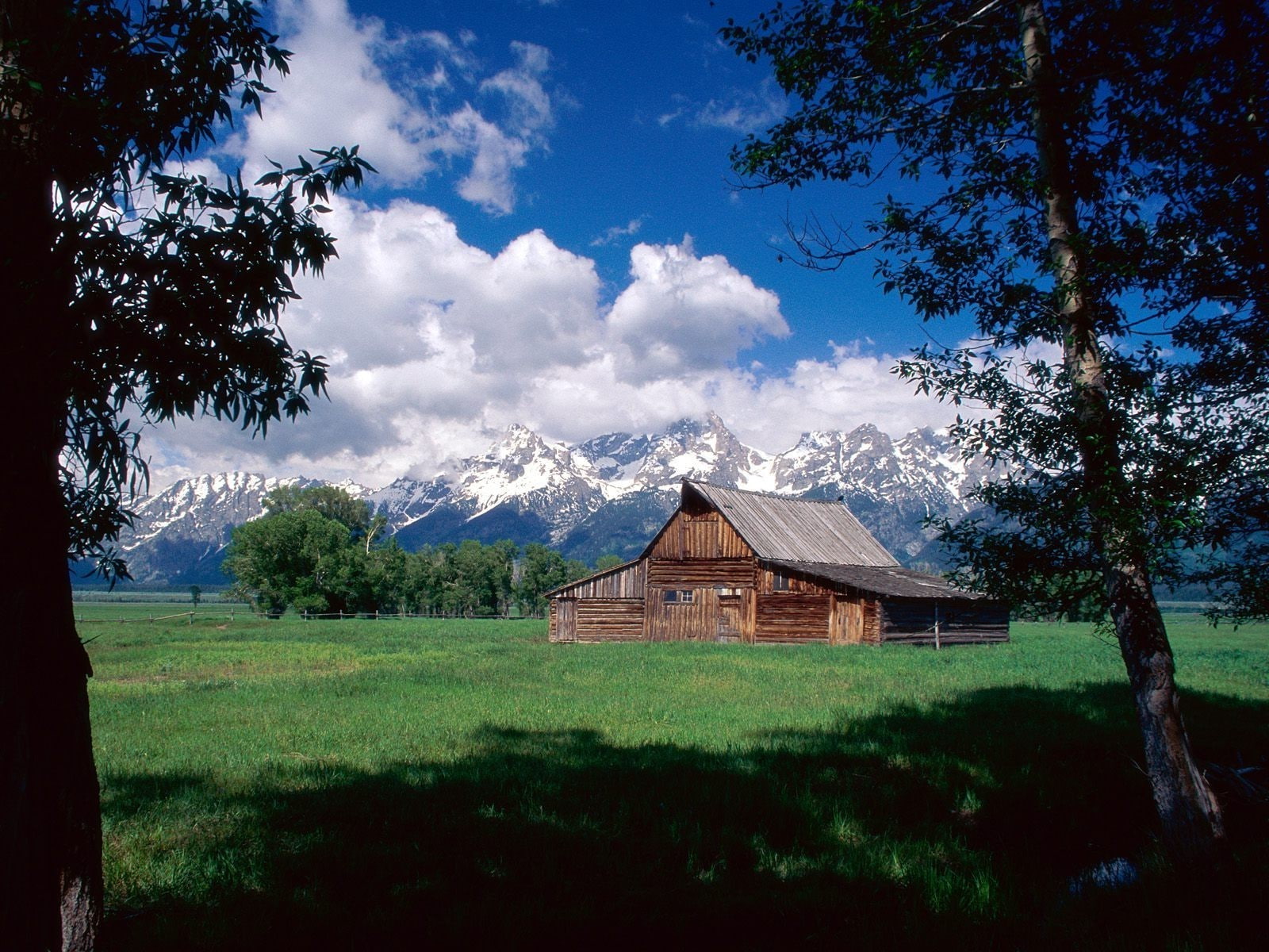 landscape, plant, tree, built structure, architecture, building exterior