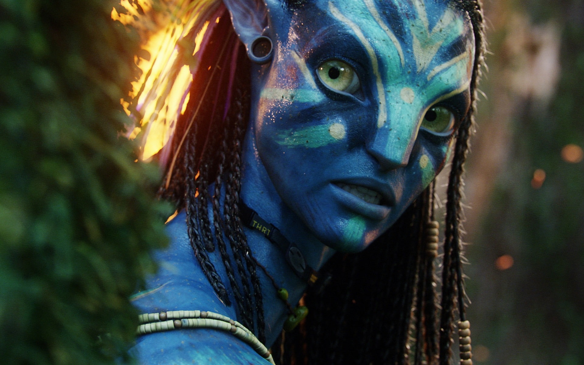 2014 Avatar 2 Movie HD Desktop Wallpaper 04, The Avatar character illustration