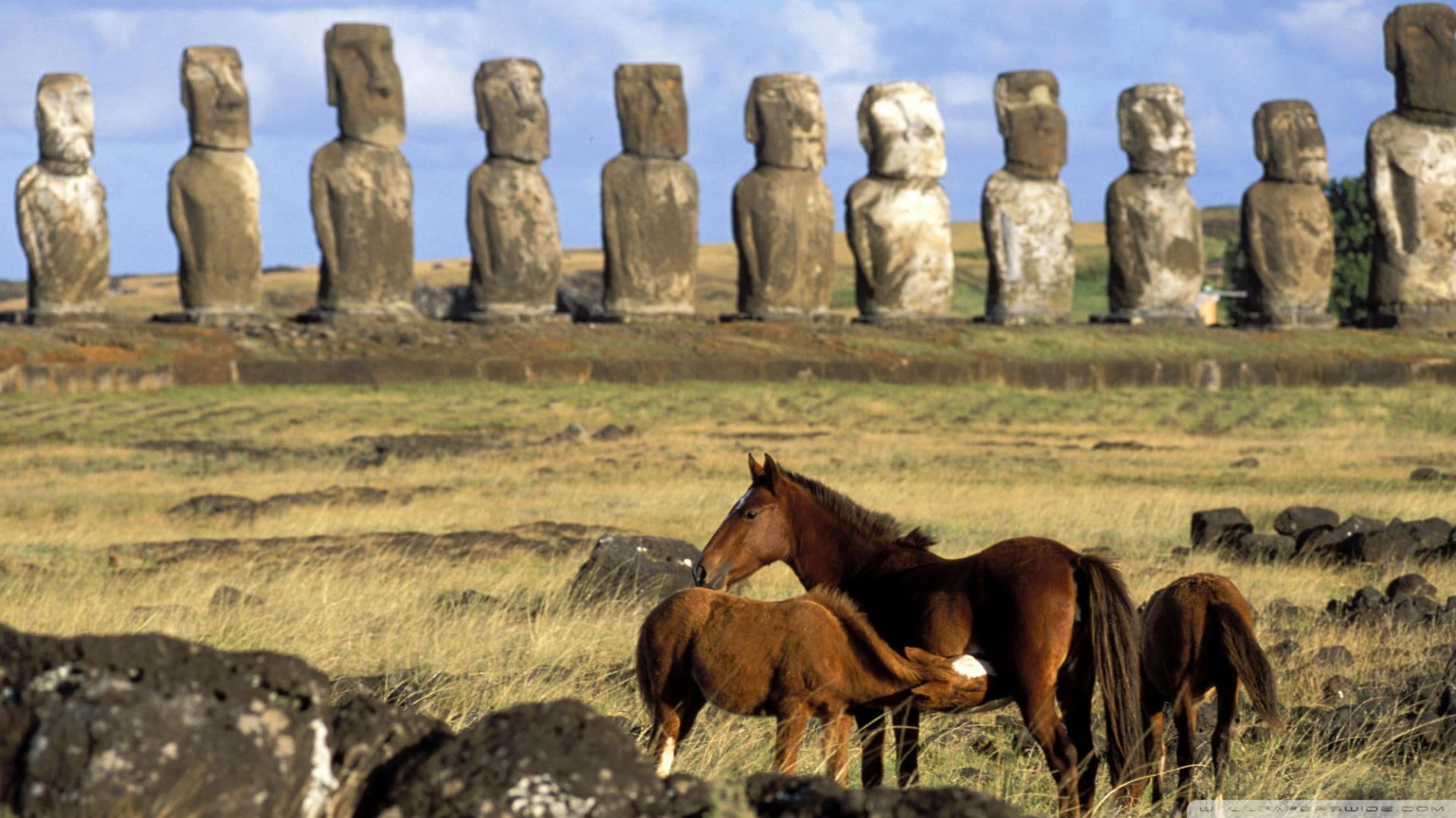 Horses Of Easter Isl Chile, brown horse, stones, grass, statues