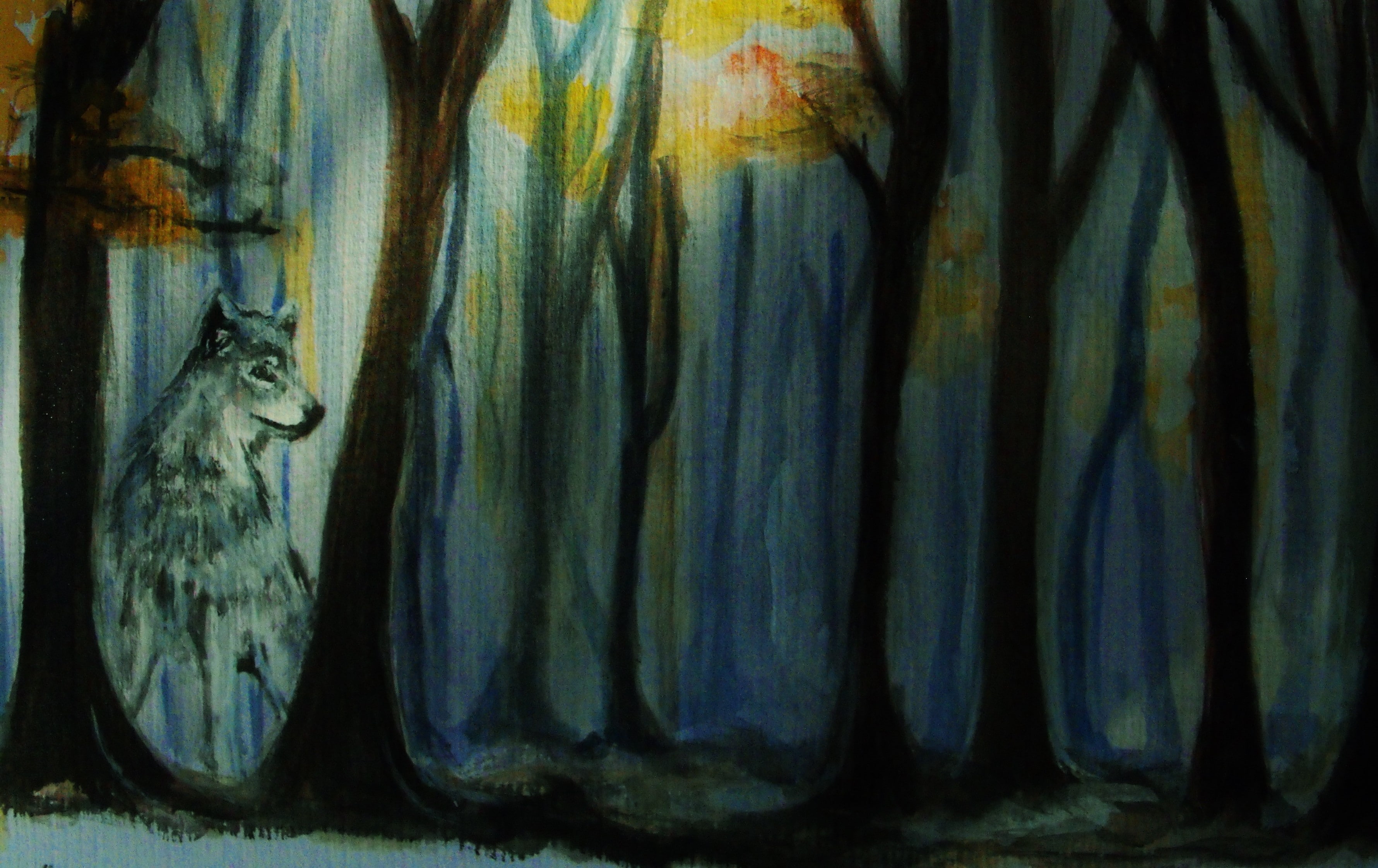 animals, wolf