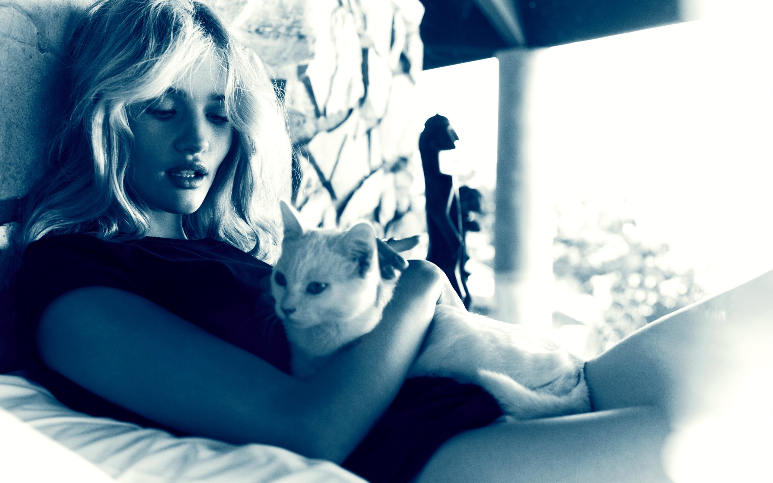 Rosie Huntington-Whiteley, model, women, blonde, cat, monochrome