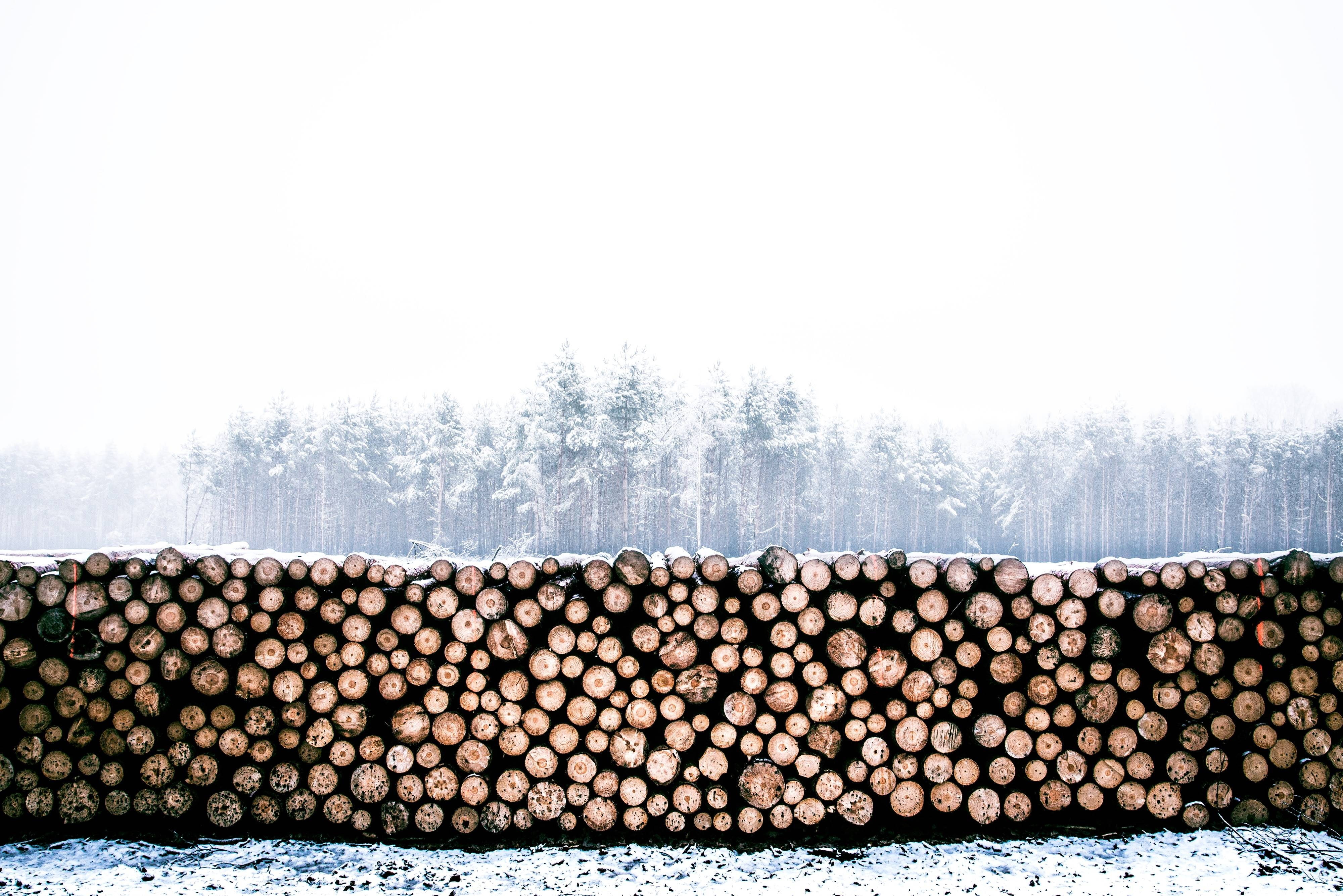 winter, wood, lumber, woodpile, timber, log, trunk