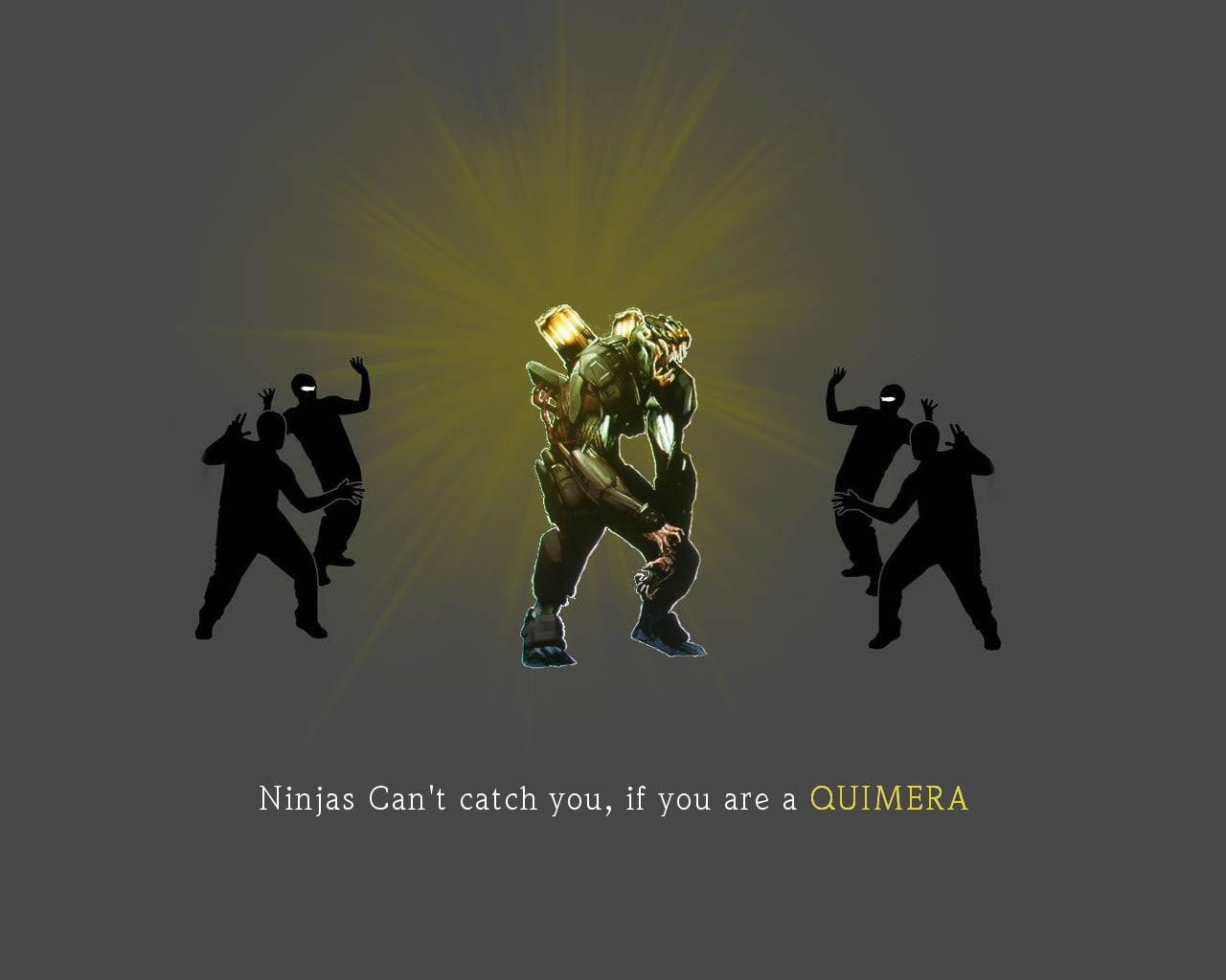 ninja