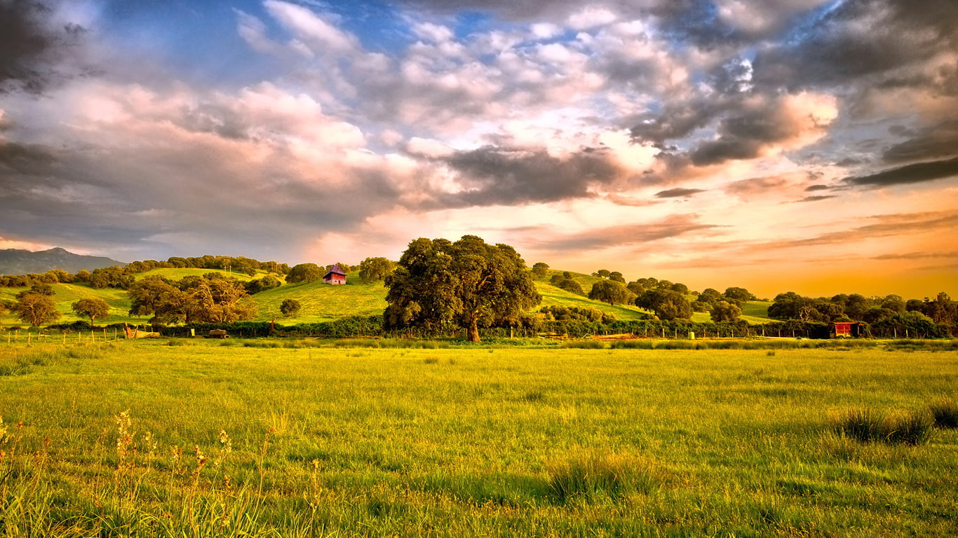 1366x768, green Nature