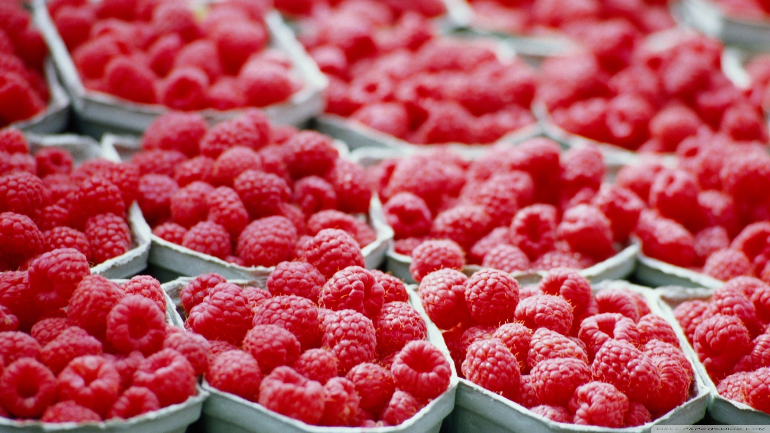 raspberry