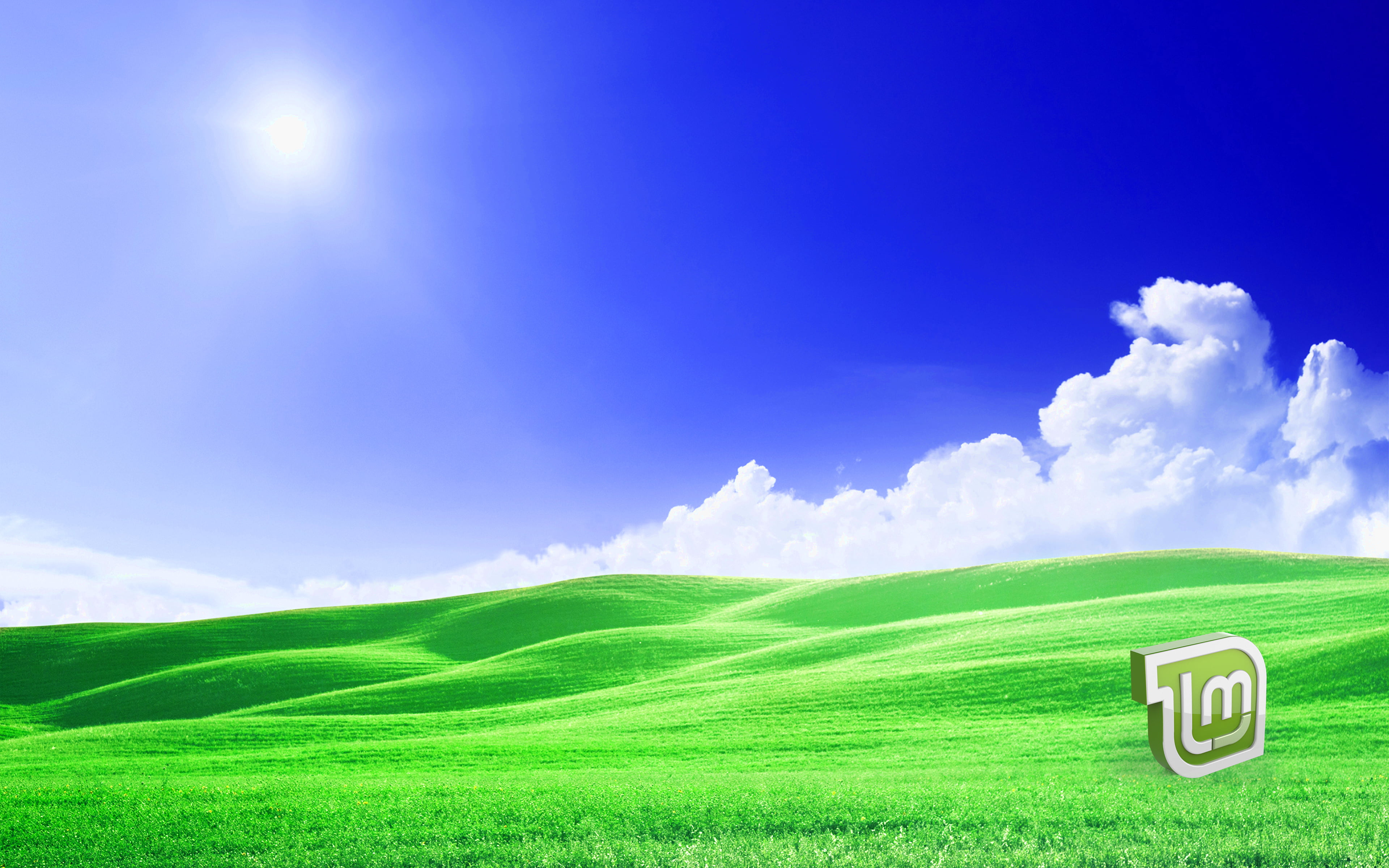 Linux Mint, computer