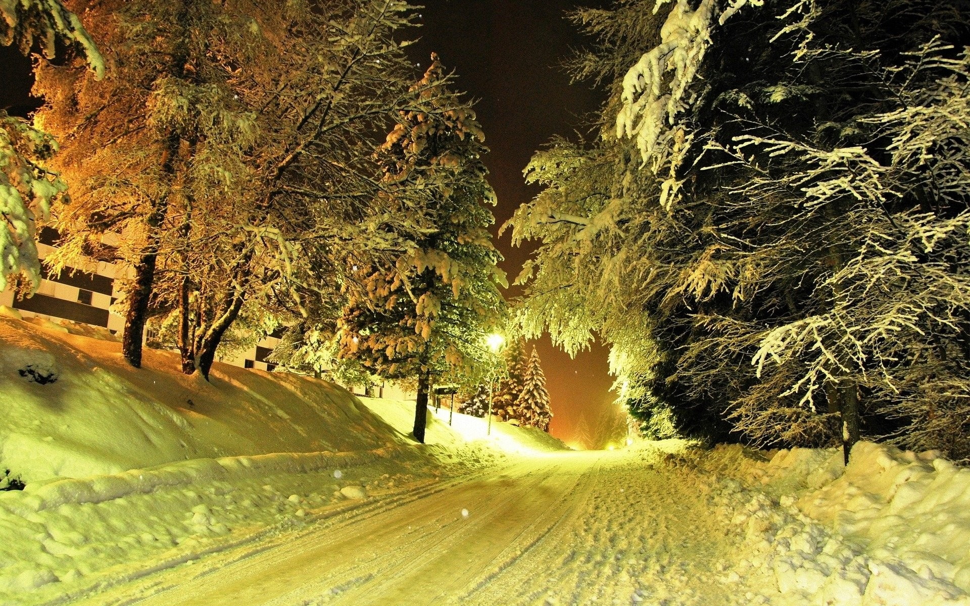 winter, nature, snow, night, trees, road, lights