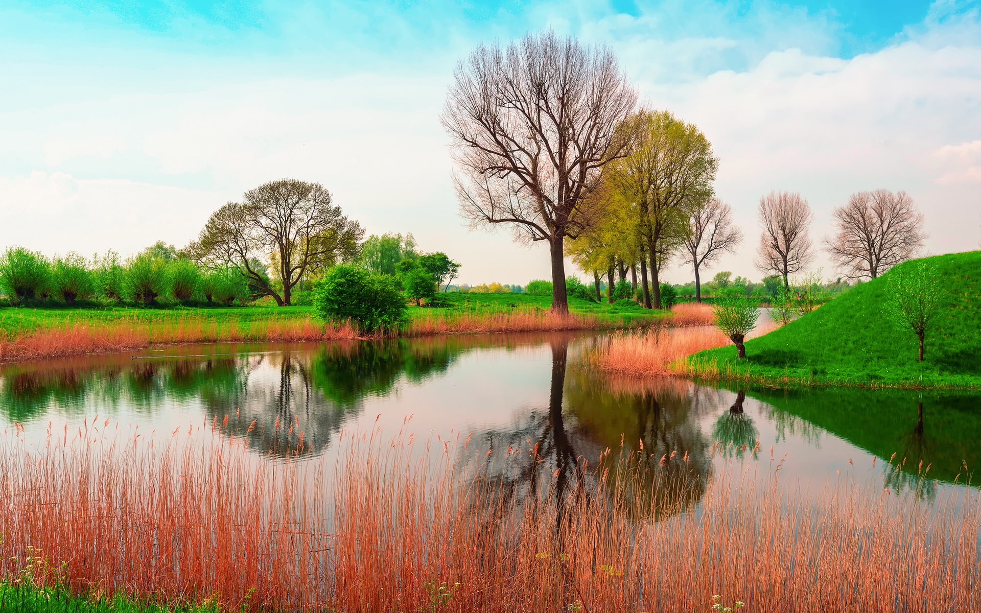 England, nature spring, trees, river, grass