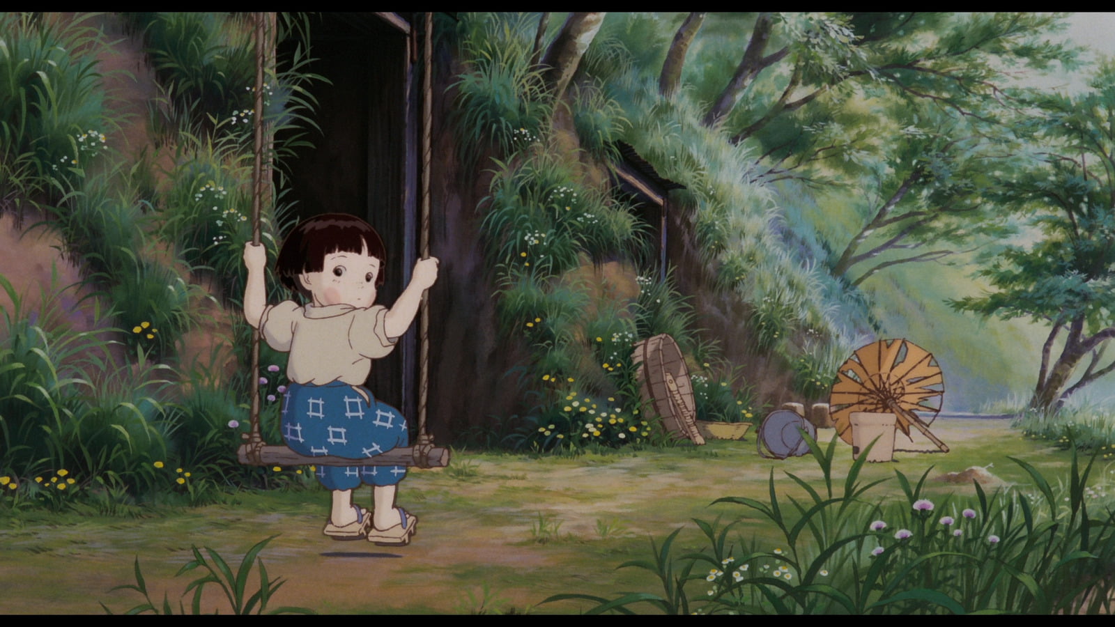 Movie, Grave of the Fireflies, plant, childhood, tree, nature