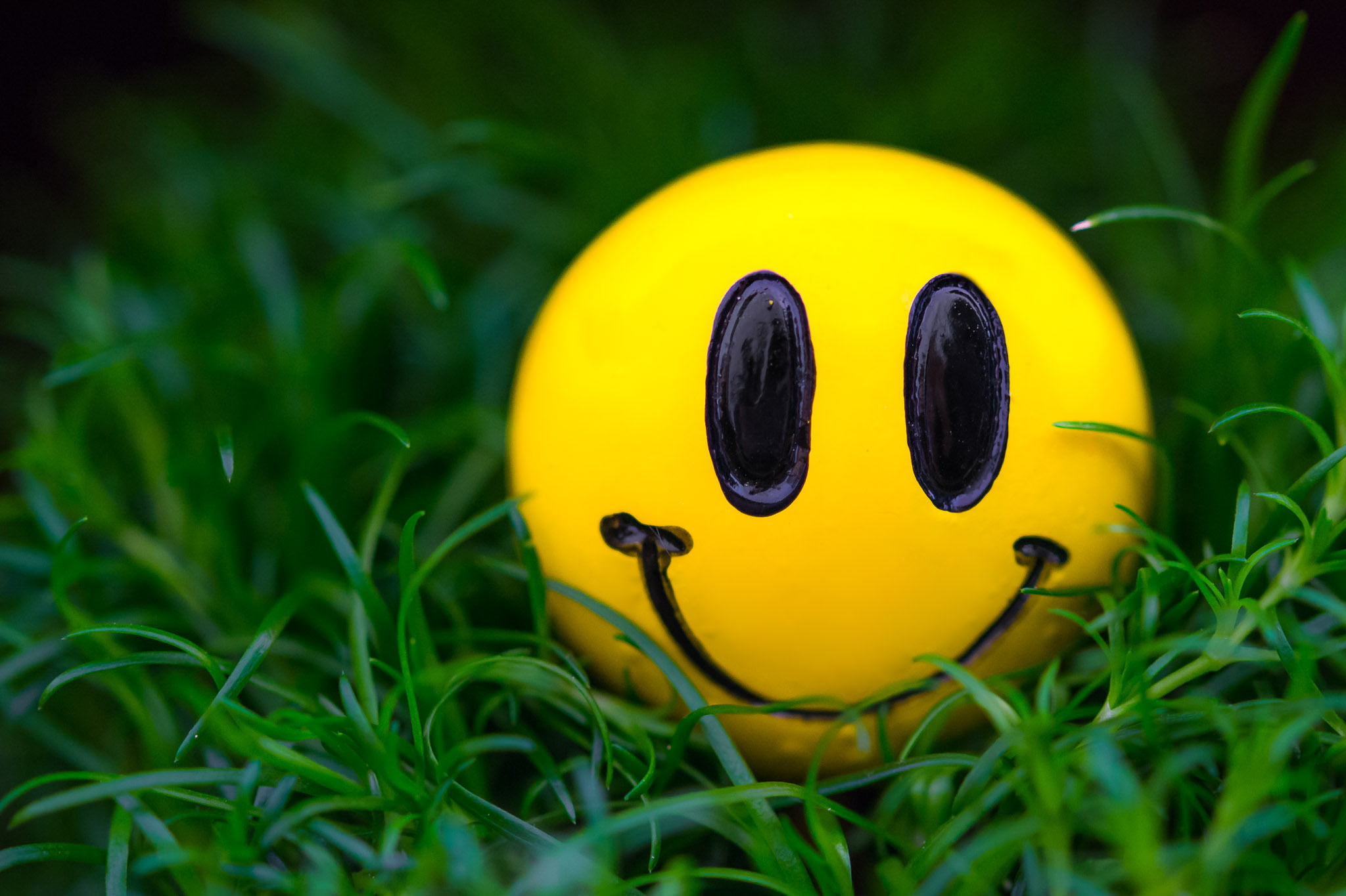 Free download | HD wallpaper: yellow emoji ball, grass, macro, smile ...