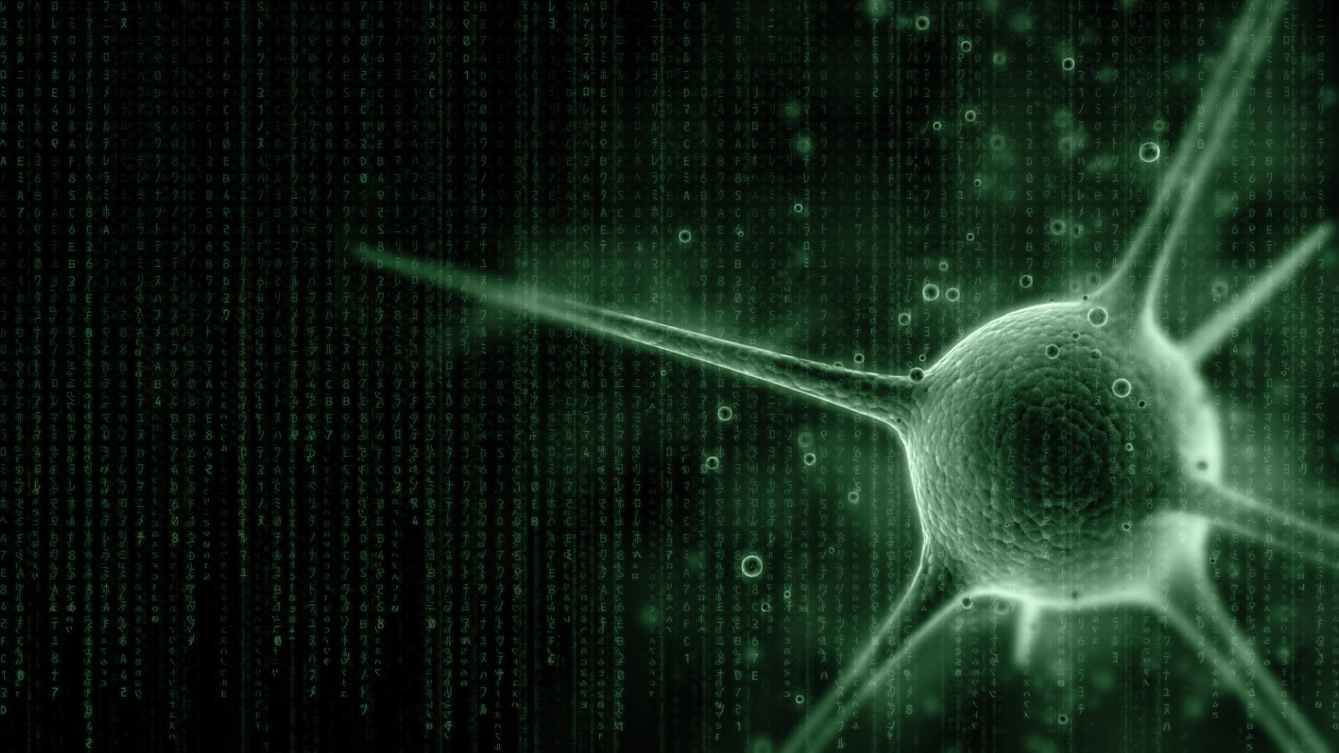 green wallpaper, characters, code, matrix, virus, science, technology