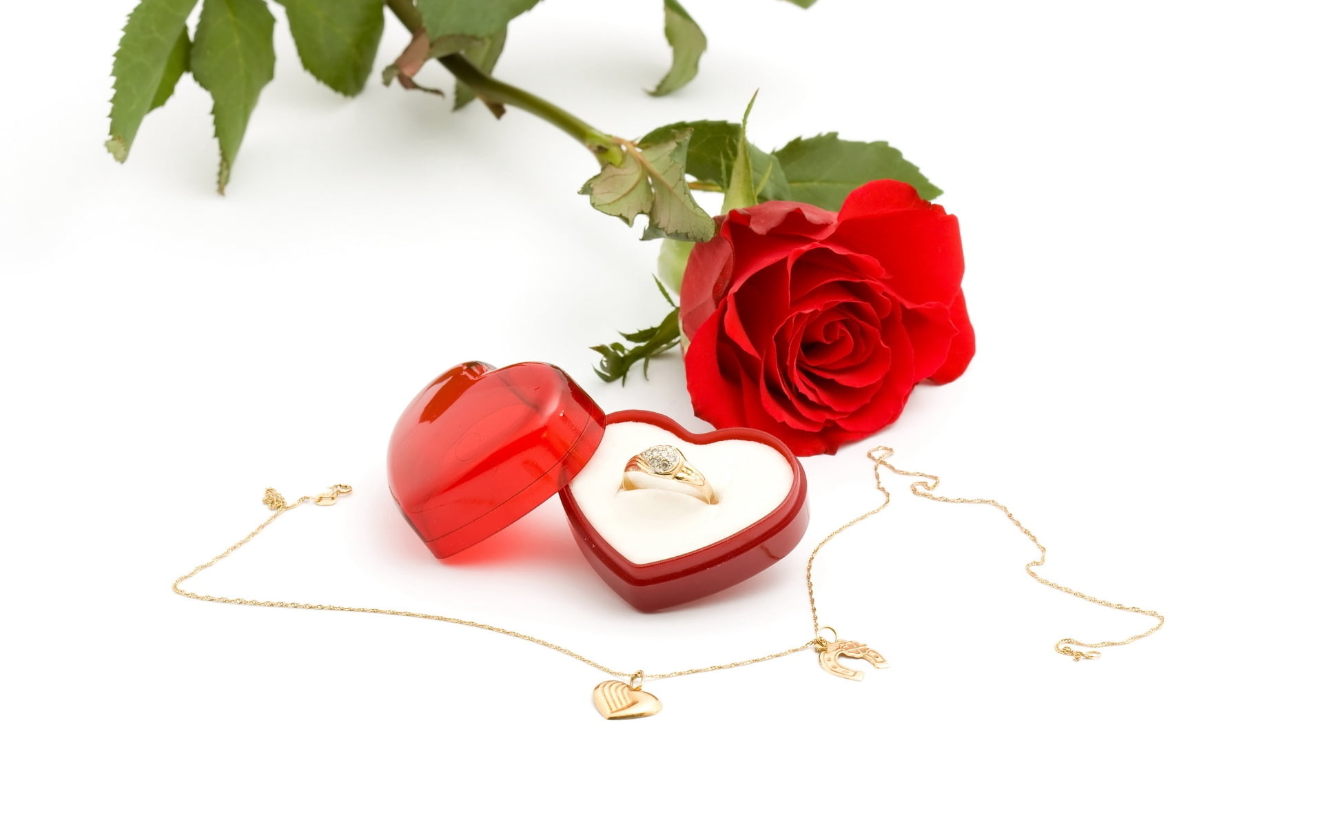 red rose and gold-colored necklace, ring, box, surprise, gift