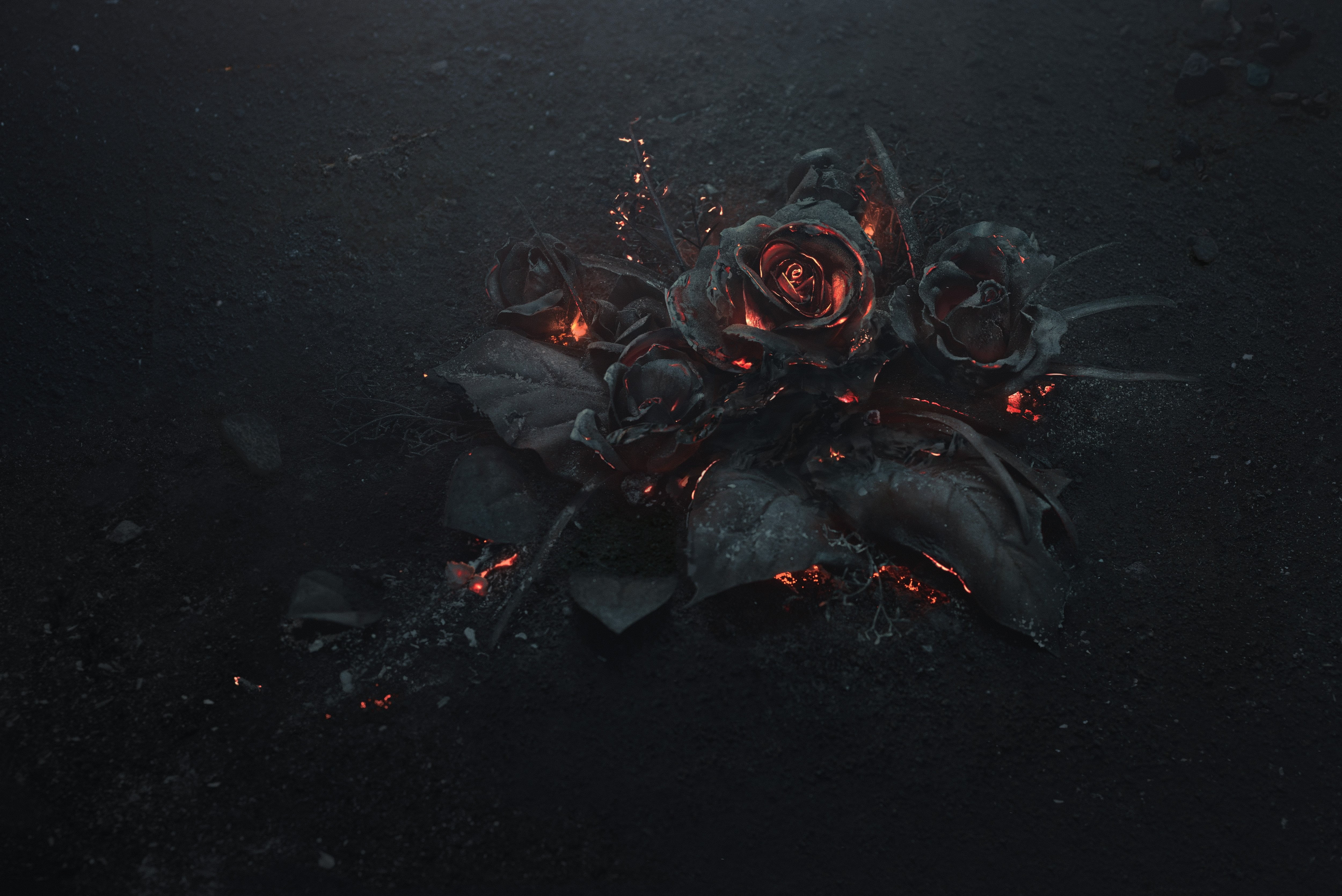 black rose illustration, ash, burning, abstract, dark, flowers