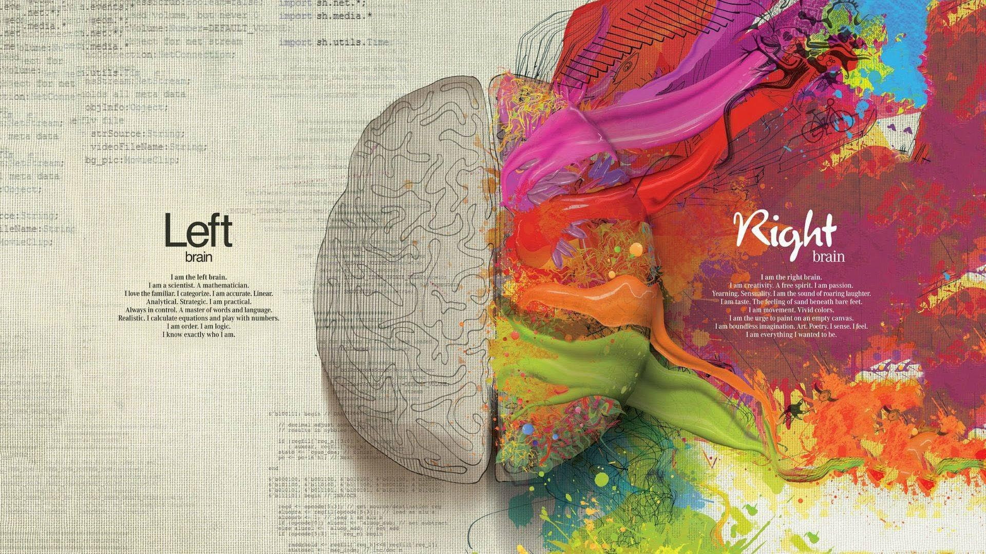 Left and Right Brain HD, brain left and right illustration, creative
