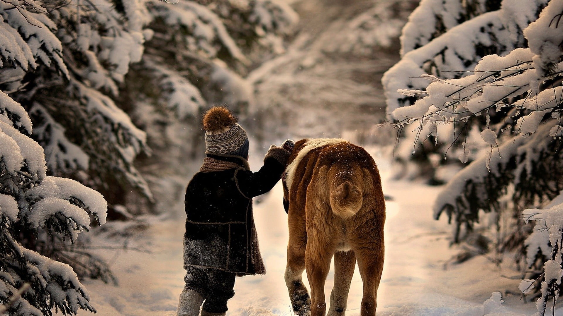 adult Saint Bernard, children, dog, snow, animals, cold temperature