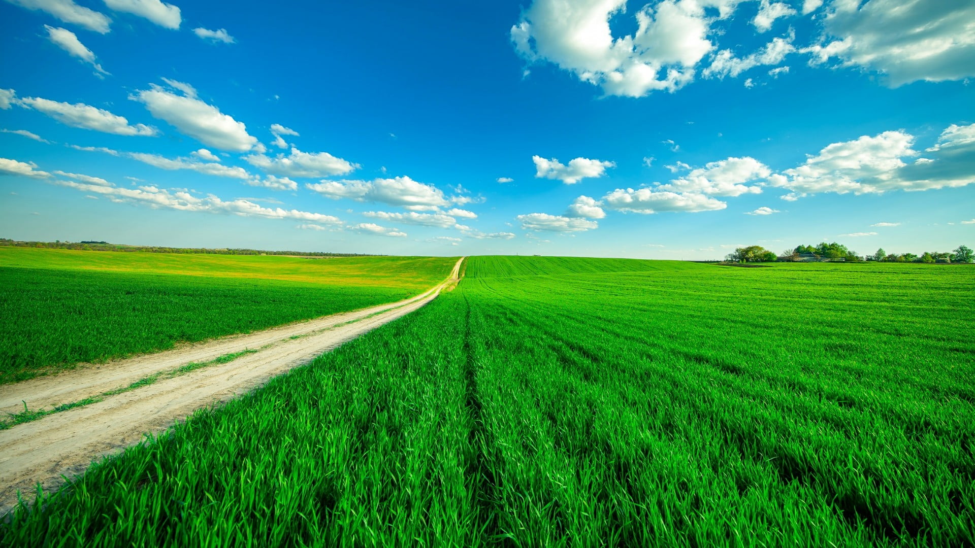 grass, agriculture, sky, fluffy, horizon, blue sky, cloud, infinite