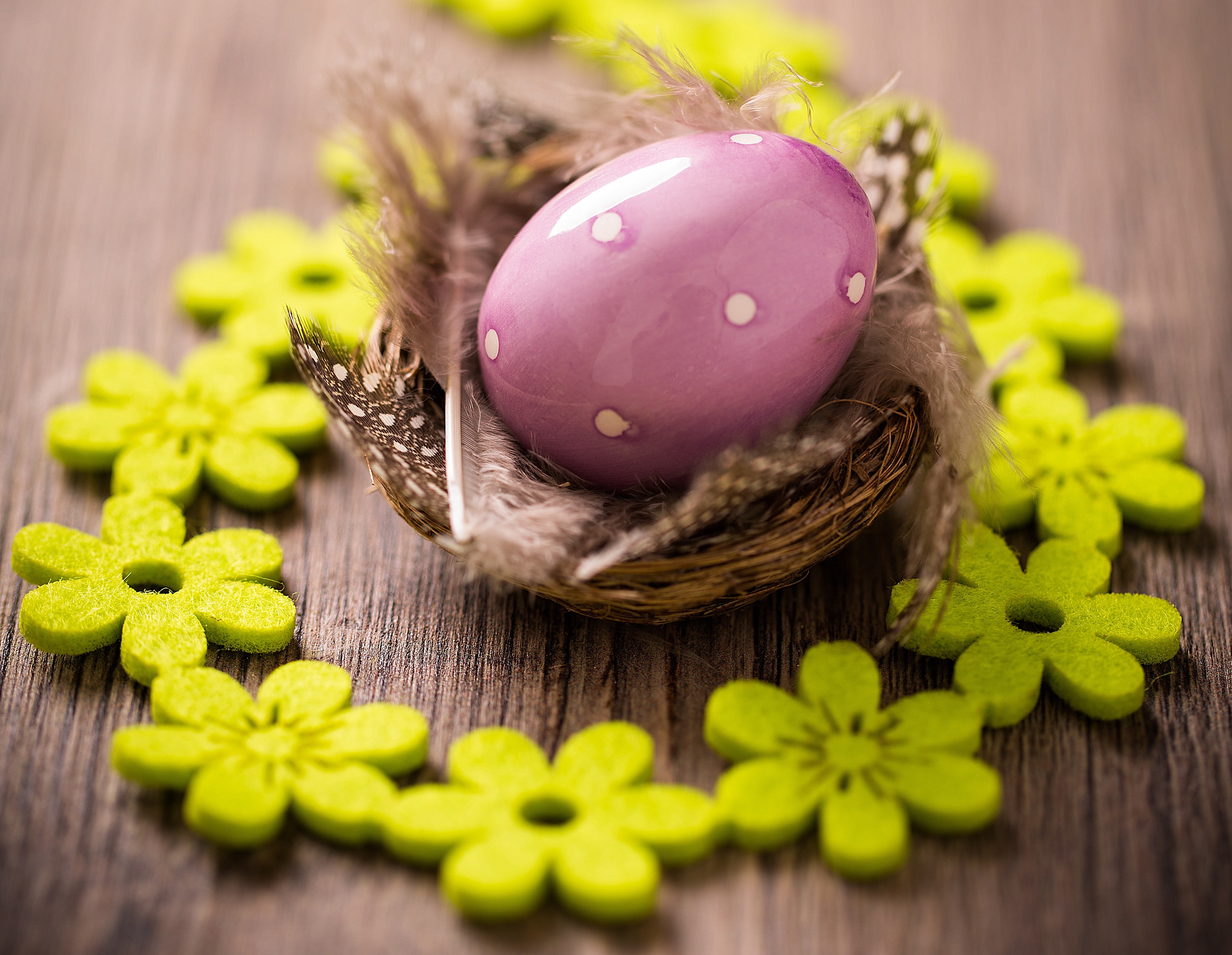 eggs, Easter, Easter eggs, happy easter