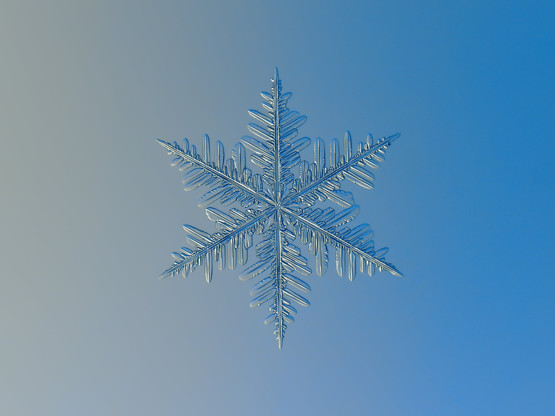 white snowflake, macro, winter is coming, photo, snow  crystal