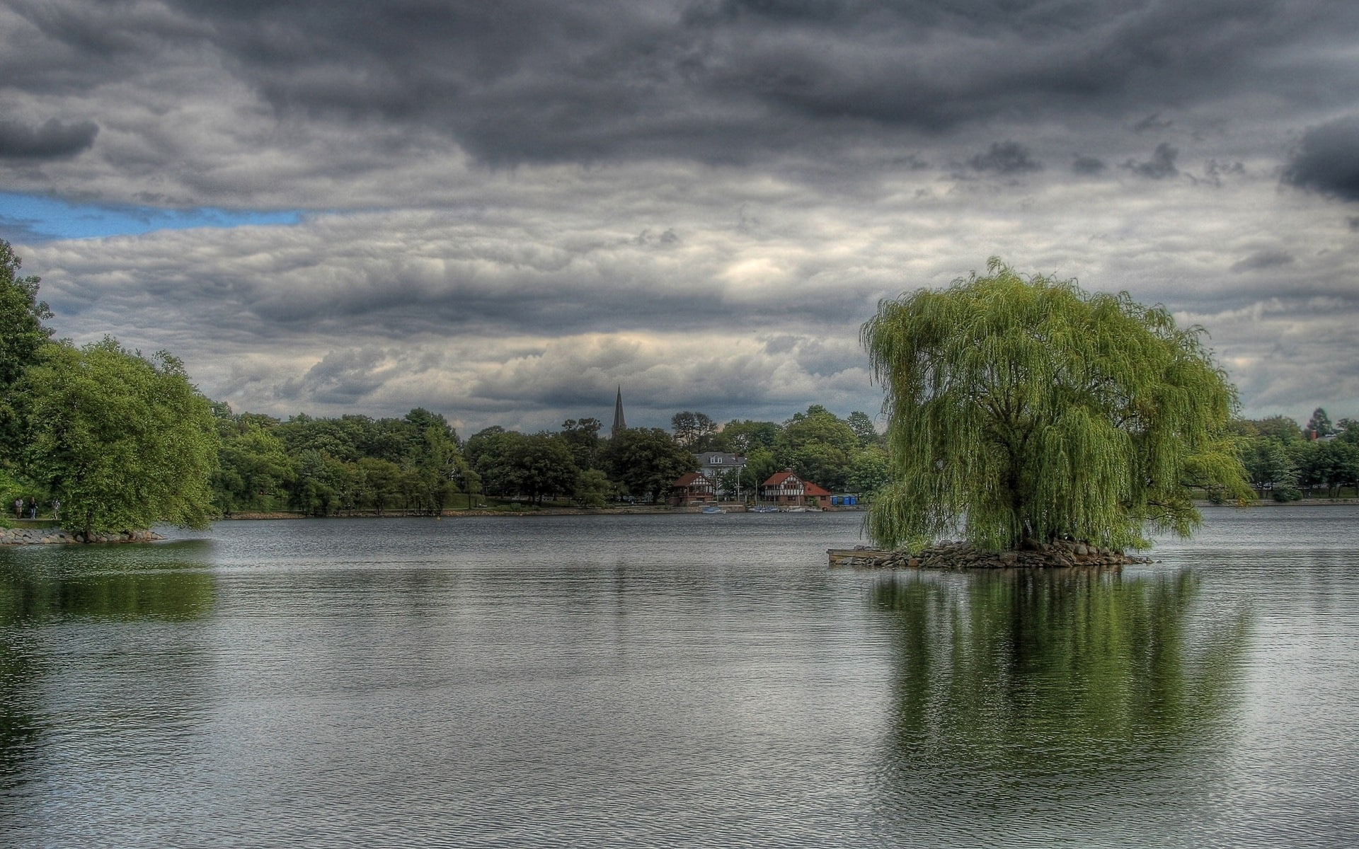 willow, trees, clouds, sky, coast