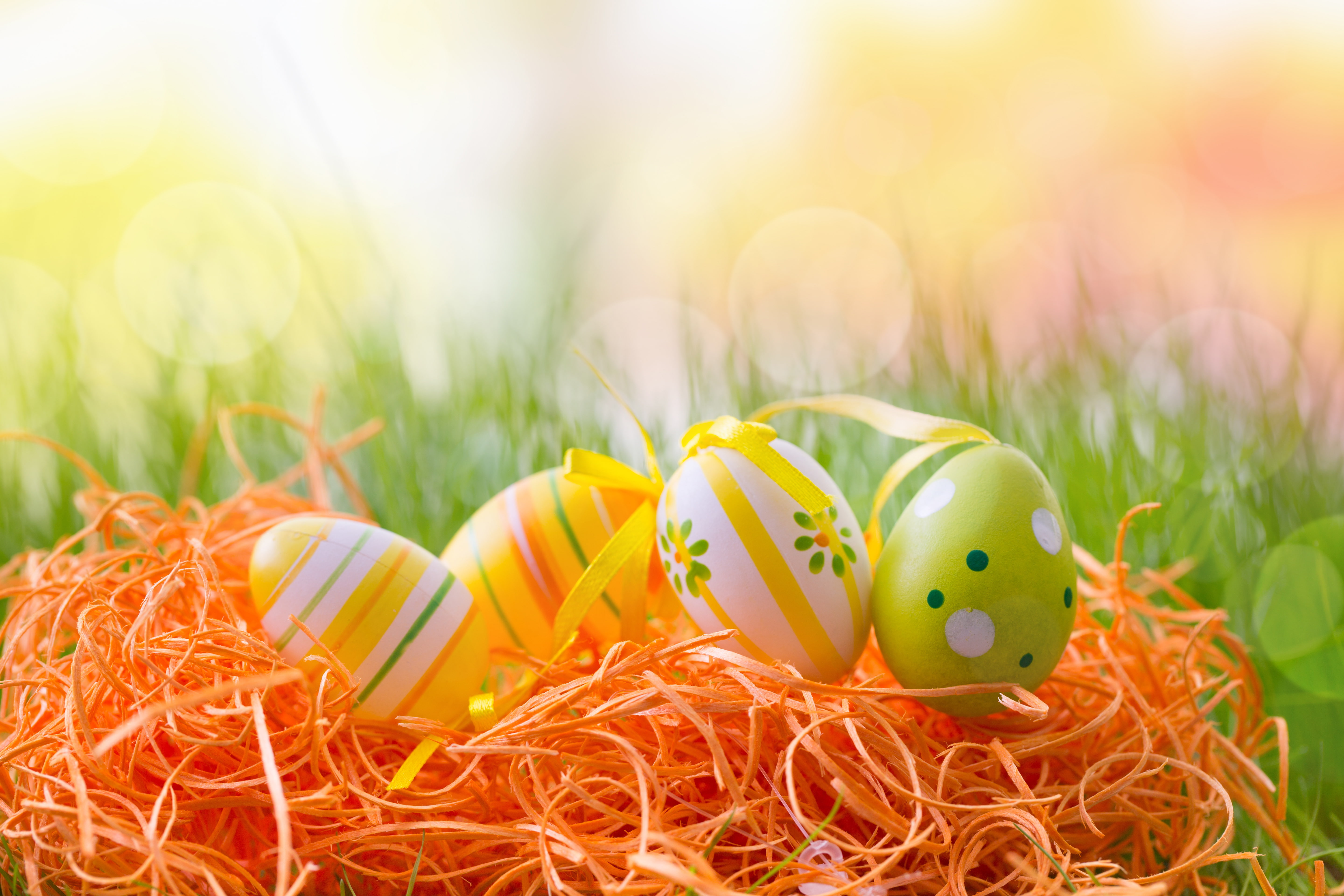 eggs, Easter, Easter eggs, happy easter