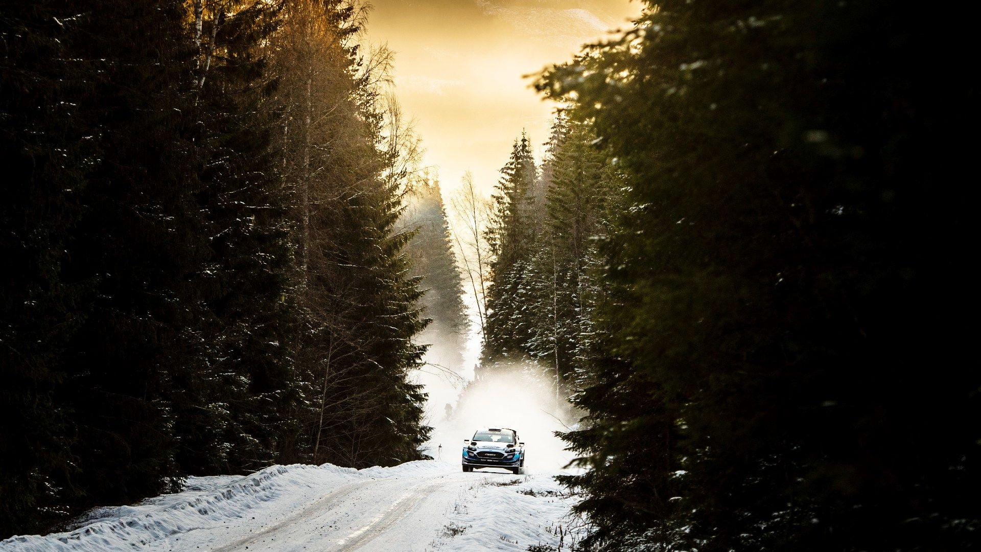 wrc, Rally, Sweden, Ford Fiesta RS WRC, 2020 (Year), M-Sport
