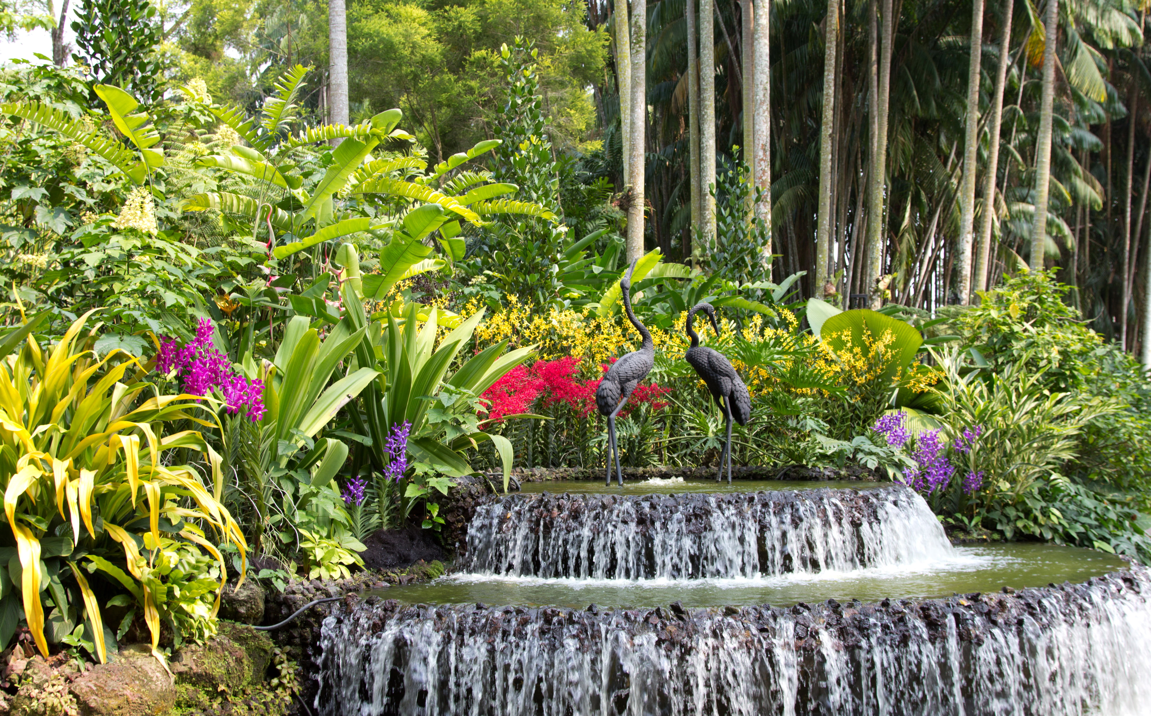 trees, flowers, birds, waterfall, garden, Singapore, fountain