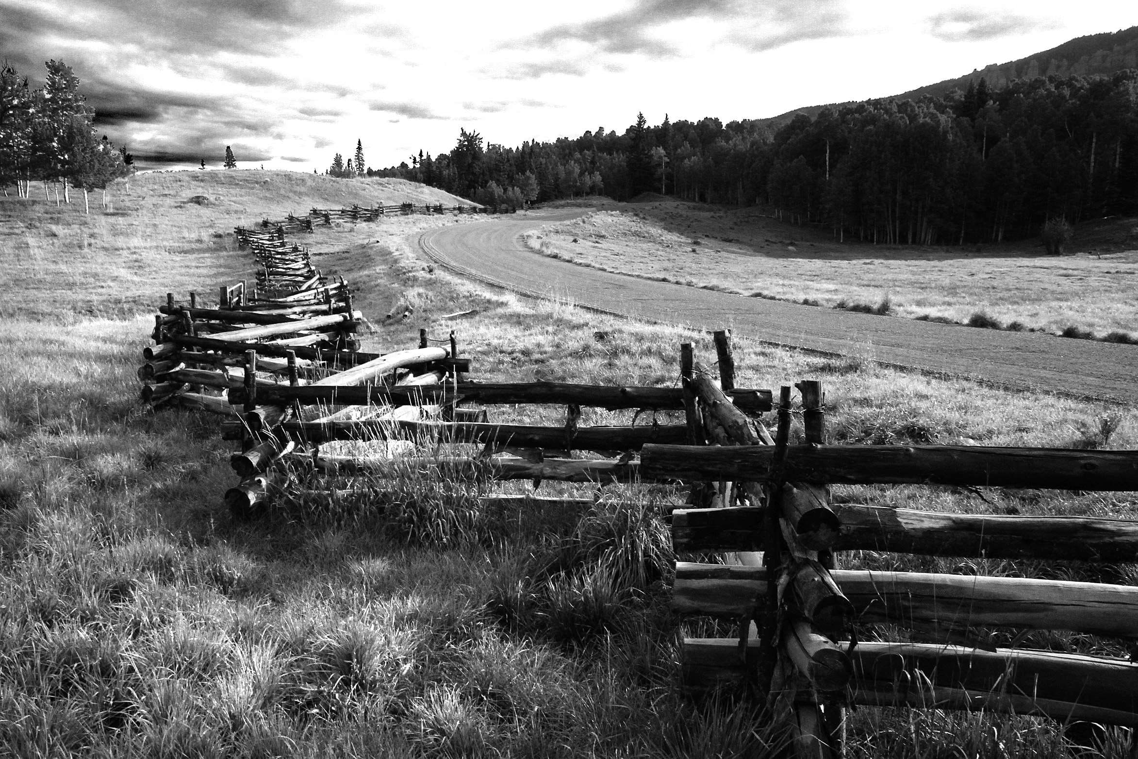 black and white, cropland, fall, farm, fence, field, forest