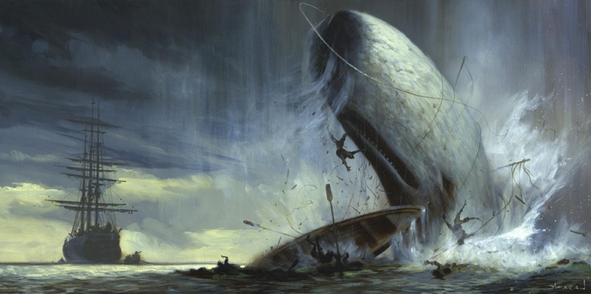animals, artwork, boat, clouds, Fighting, men, Moby Dick, nature
