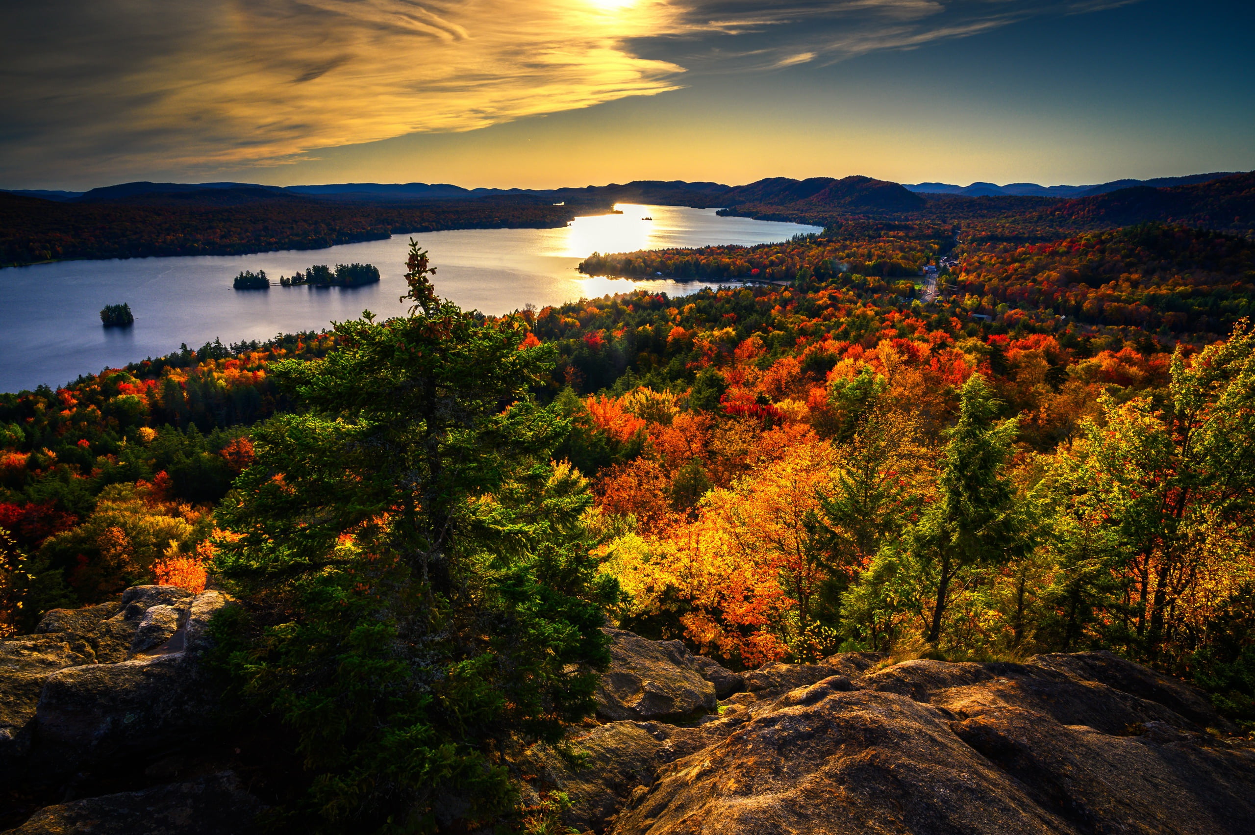 autumn, forest, river