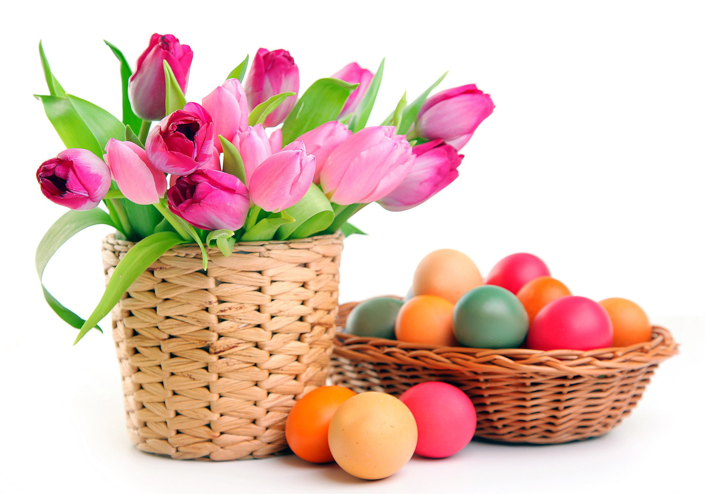 eggs, Easter, tulips, white background