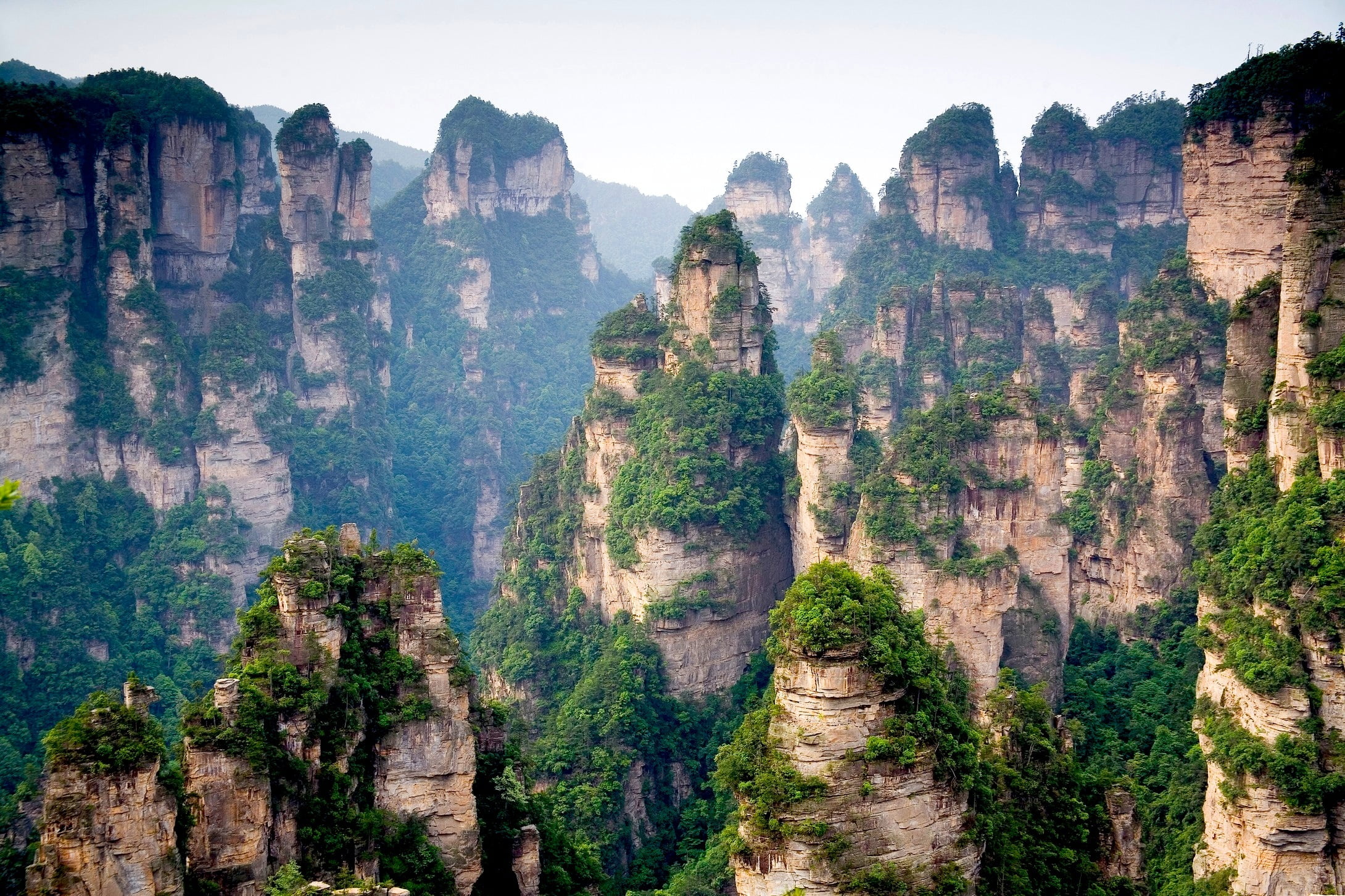 gray rock formations, forest, trees, mountains, rocks, China