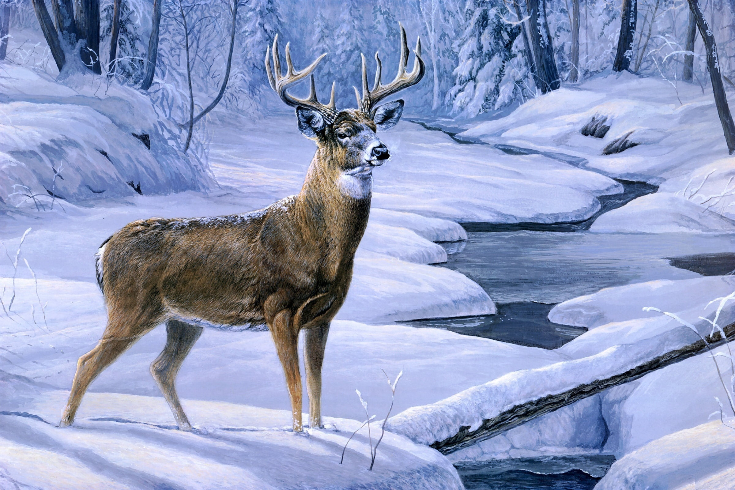 brown deer on snow illustration, winter, forest, stream, painting