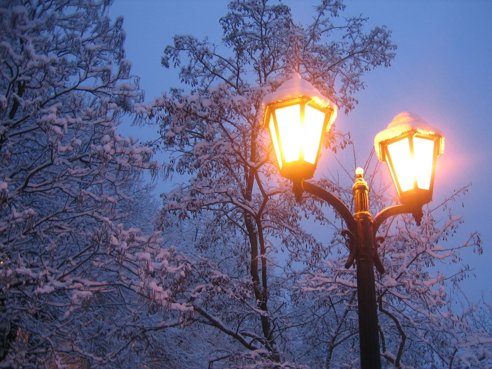 black street light, lantern, winter, snow, trees, electric Lamp