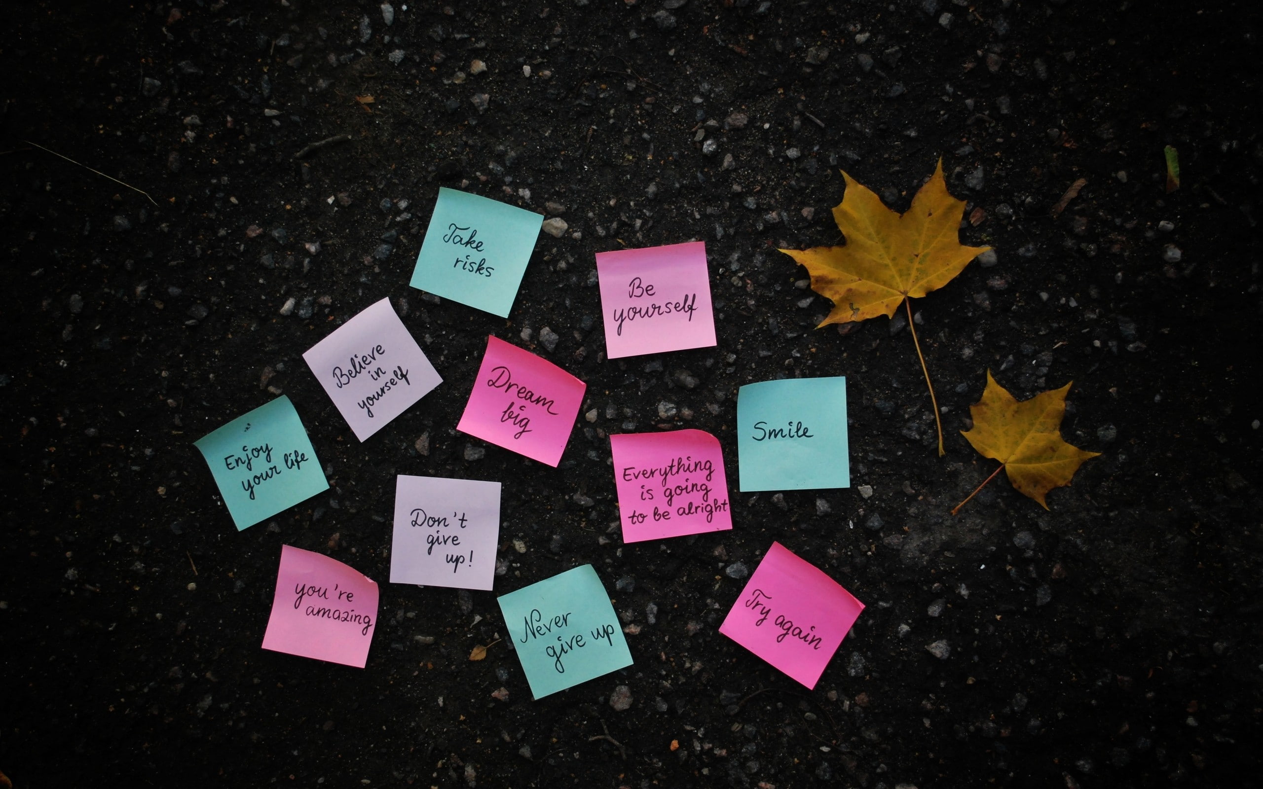 leaves, note, notes, post, quotes, texts