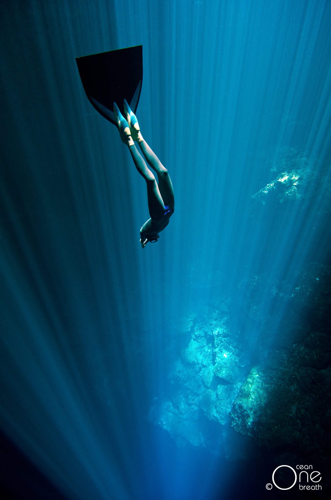 nature, sea, divers, one person, underwater, full length, swimming