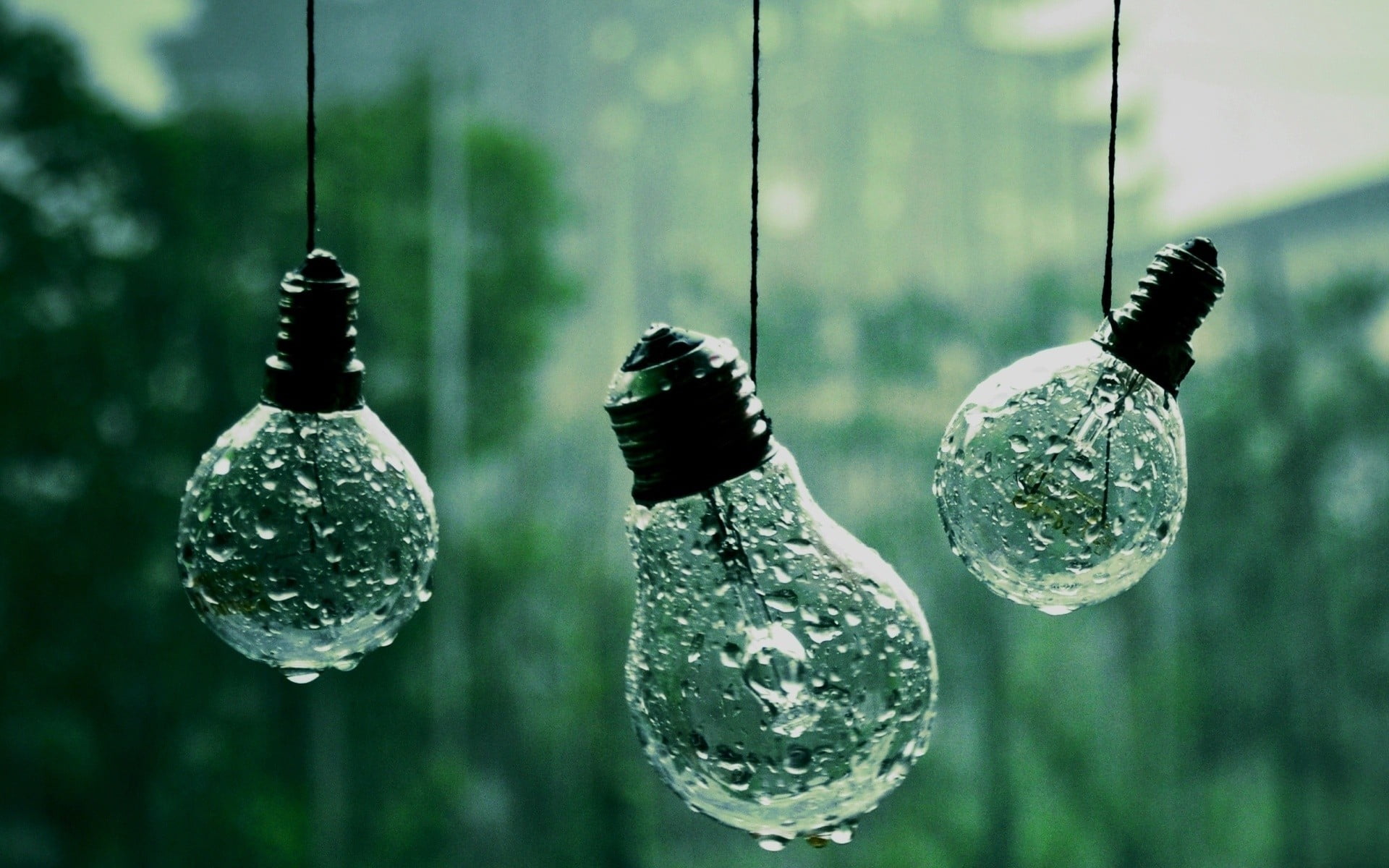 three light bulbs, water drops, lightbulb, rain, photography