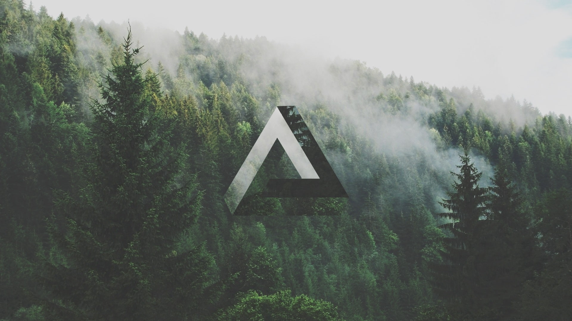 forest, geometry, Penrose triangle