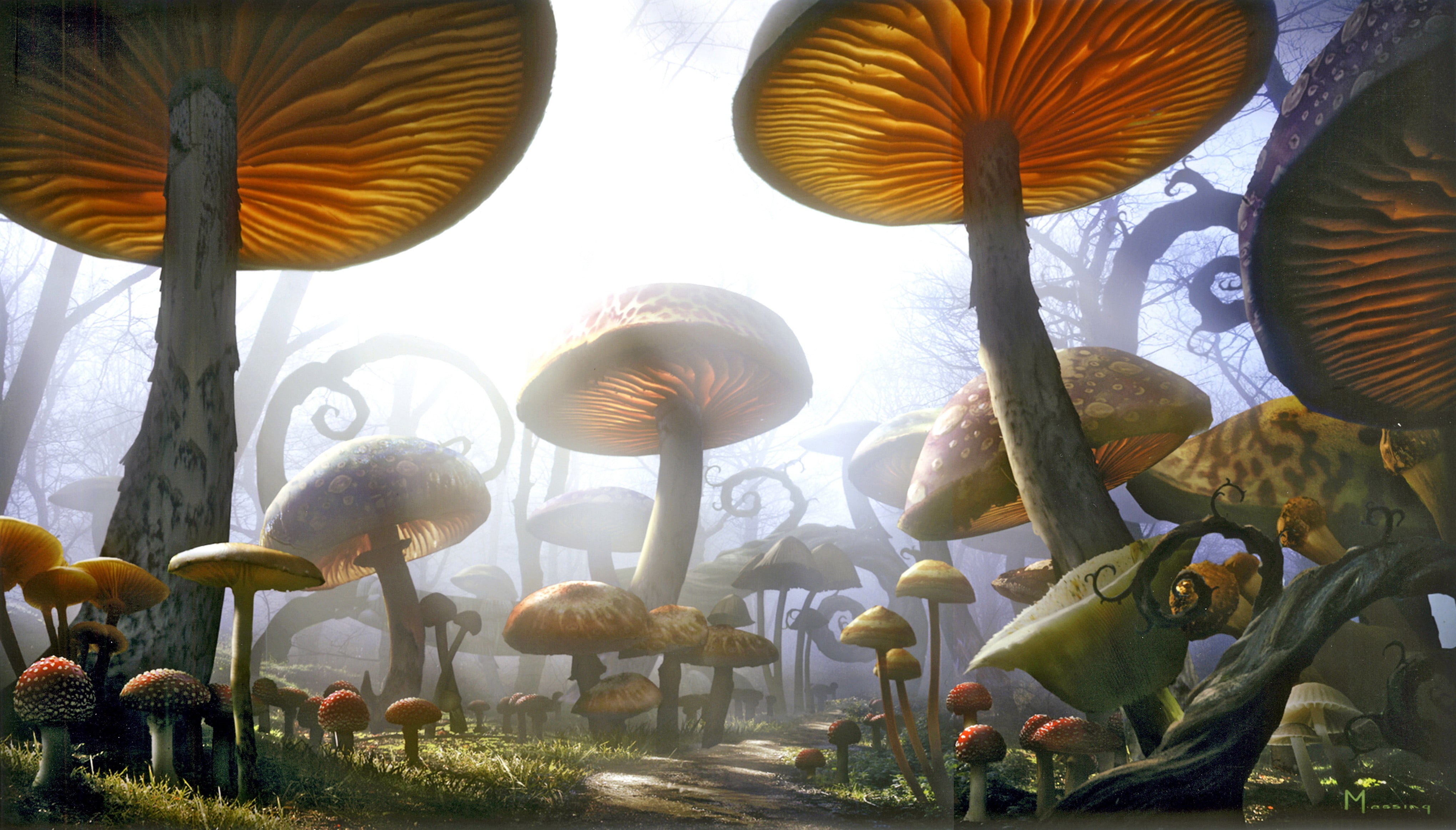 brown mushroom digital wallpaper, fantasy art, plants, digital art