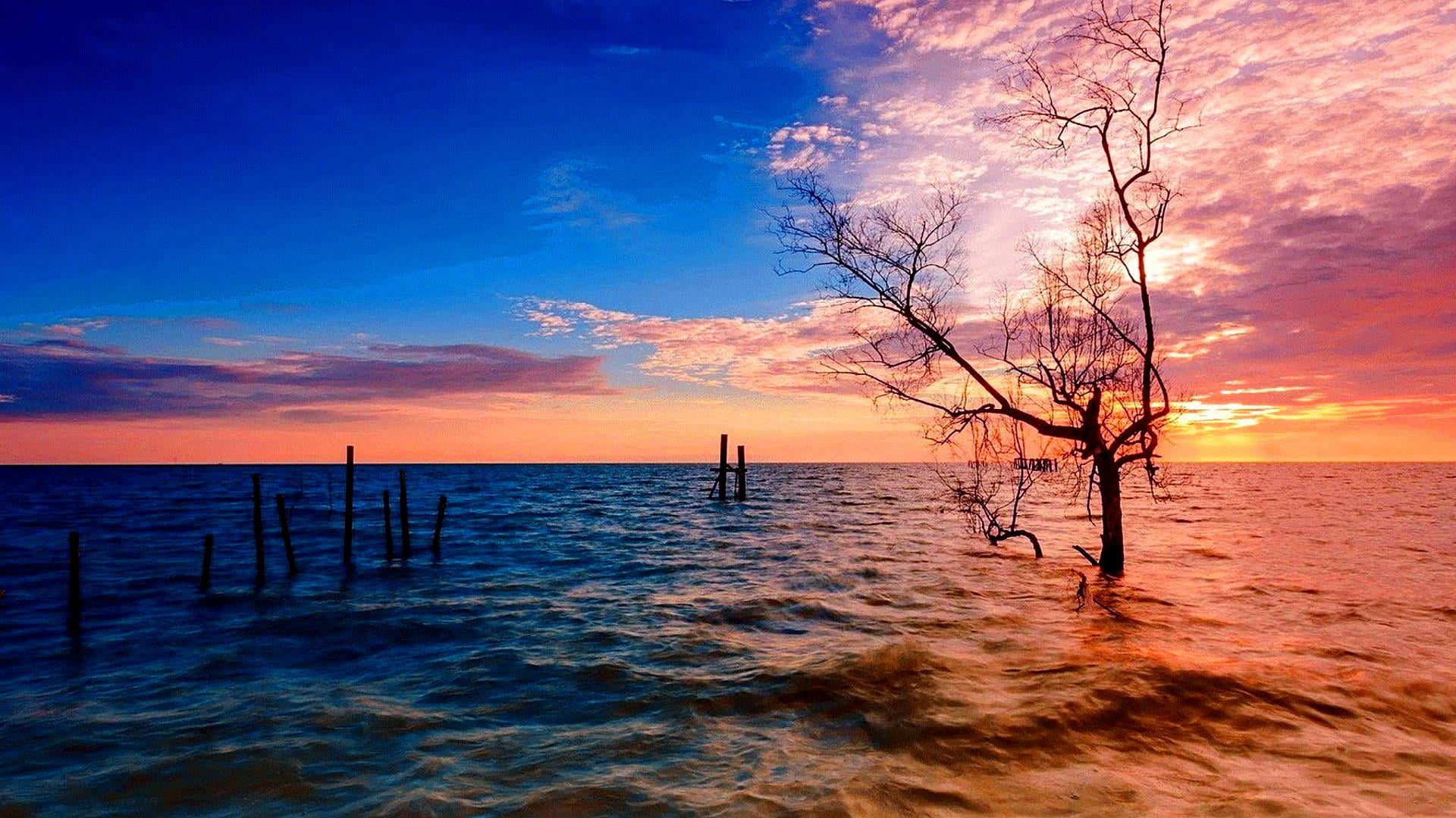 penang, tree, malaysian state, sunset, sky, sea, stunning, water
