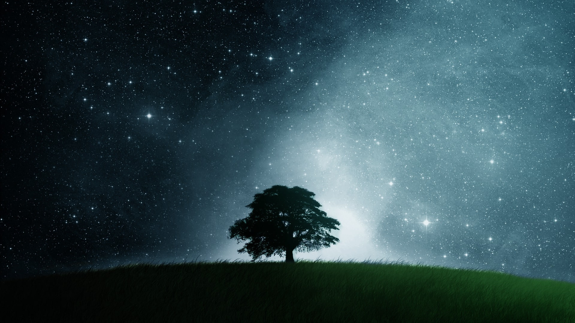 awesome cool Lonely tree Nature Other HD Art, dark, Field, epic